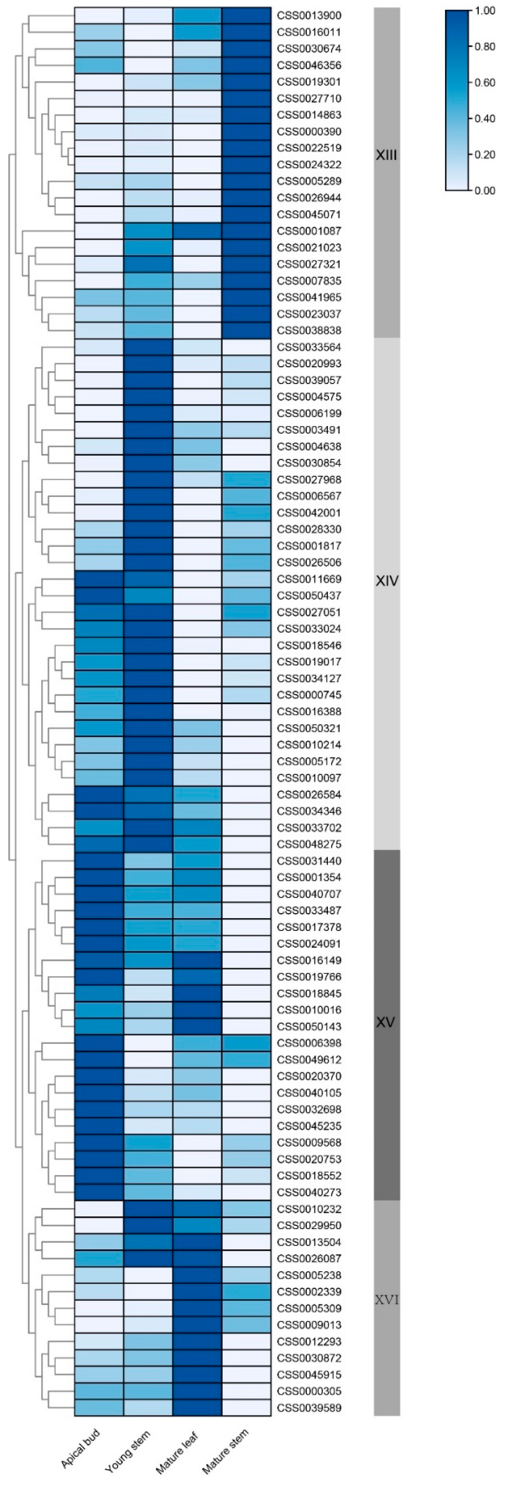 Ijms 22 04197 g007 Ijms 22 04197 g007