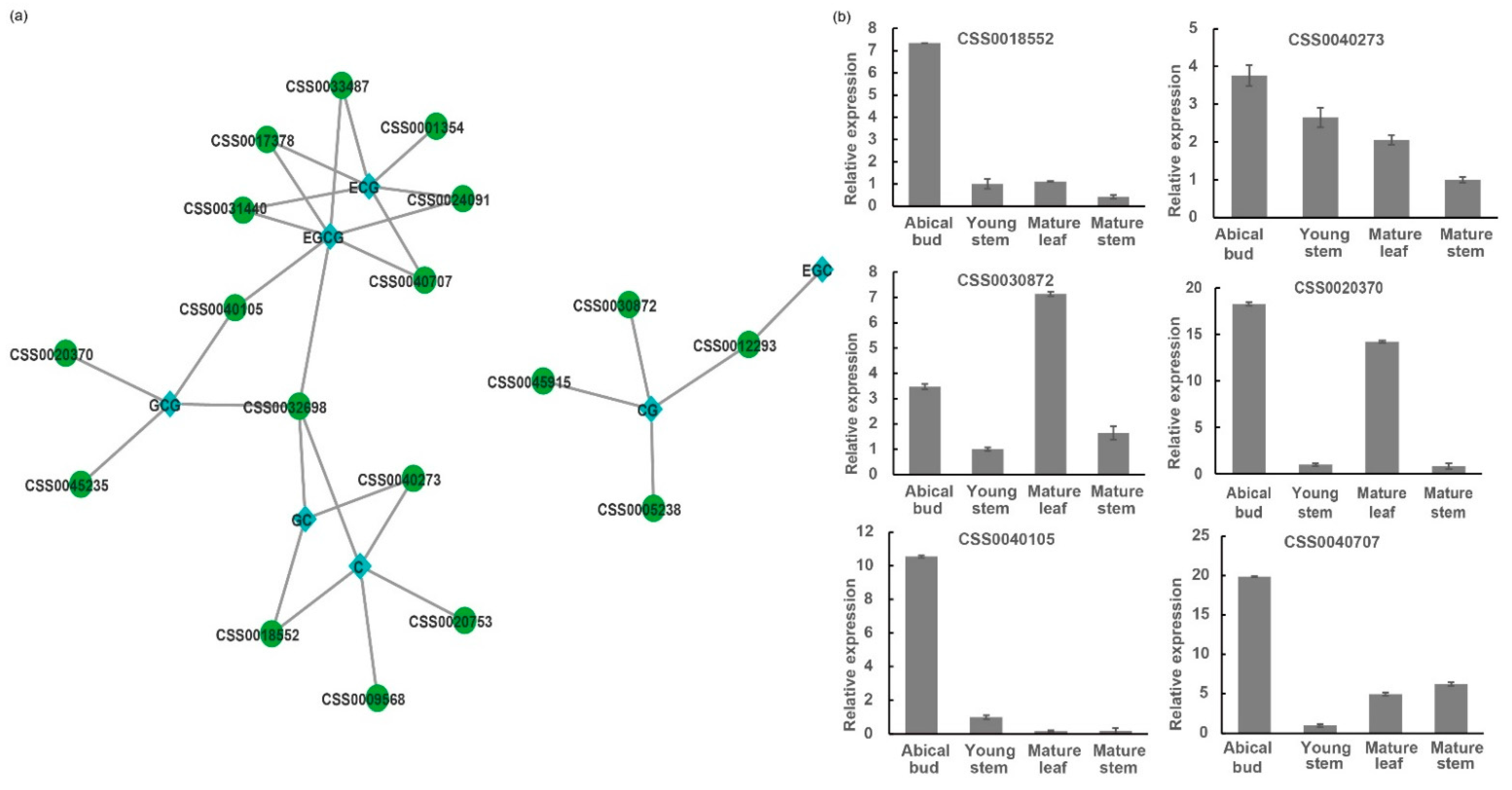 Ijms 22 04197 g008 Ijms 22 04197 g008