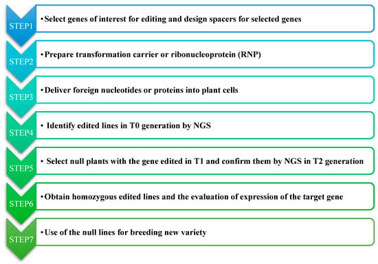 IJMS | Free Full-Text | Application of CRISPR/Cas9 in Crop Quality  Improvement