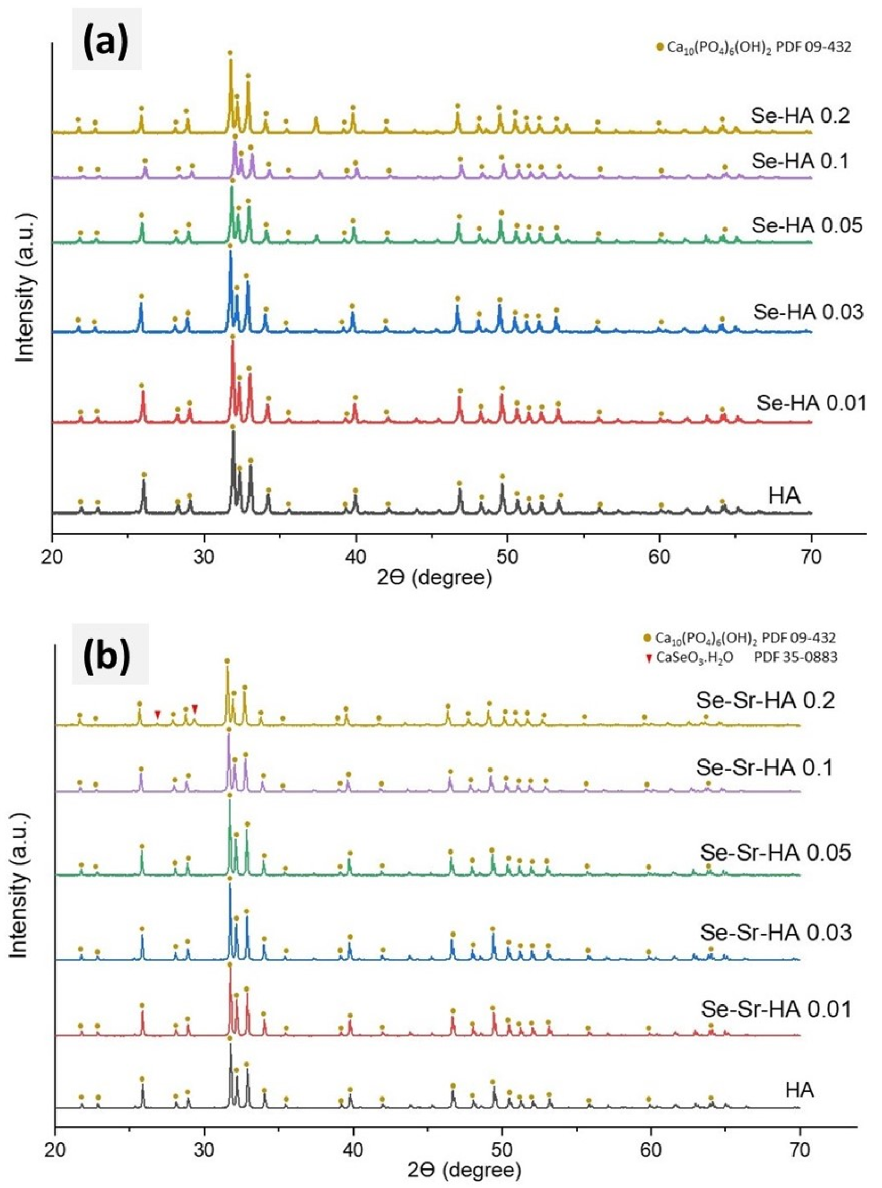 Ijms Free Full Text Synthesis Characterization Antibacterial Properties And In Vitro Studies Of Selenium And Strontium Co Substituted Hydroxyapatite Html