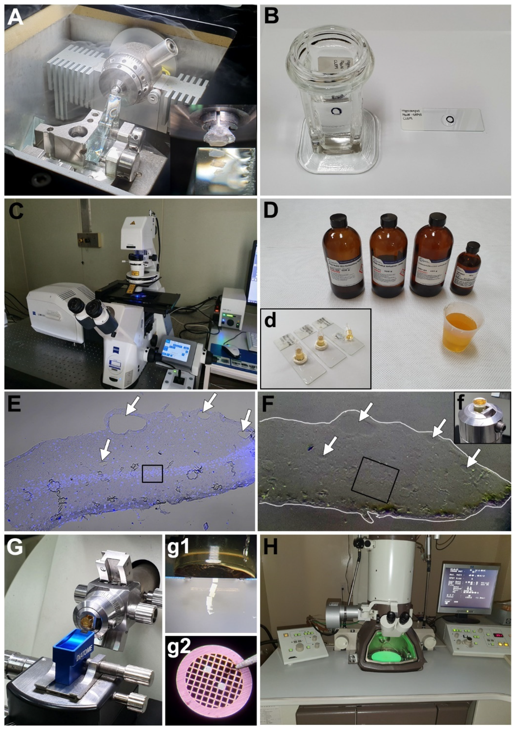 Electron Microscopy Sciences Polypropylene Cutting Board