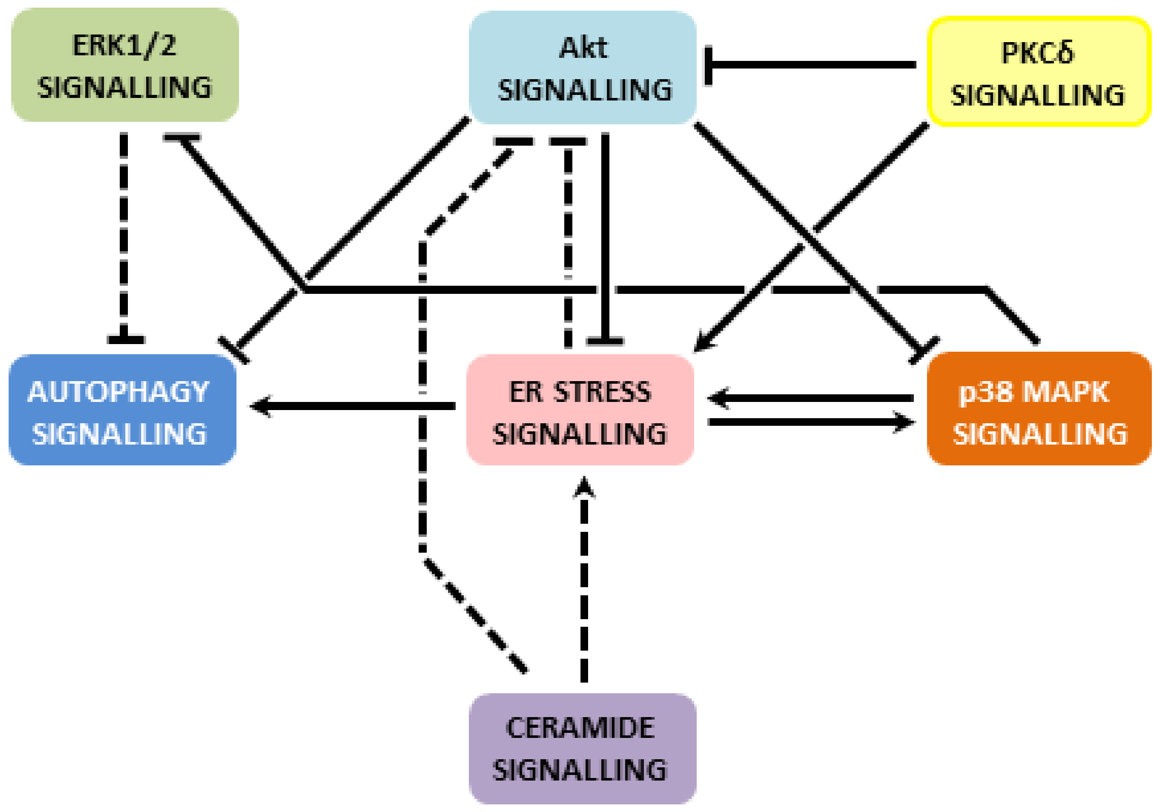 Ijms 22 04285 g003 Ijms 22 04285 g003