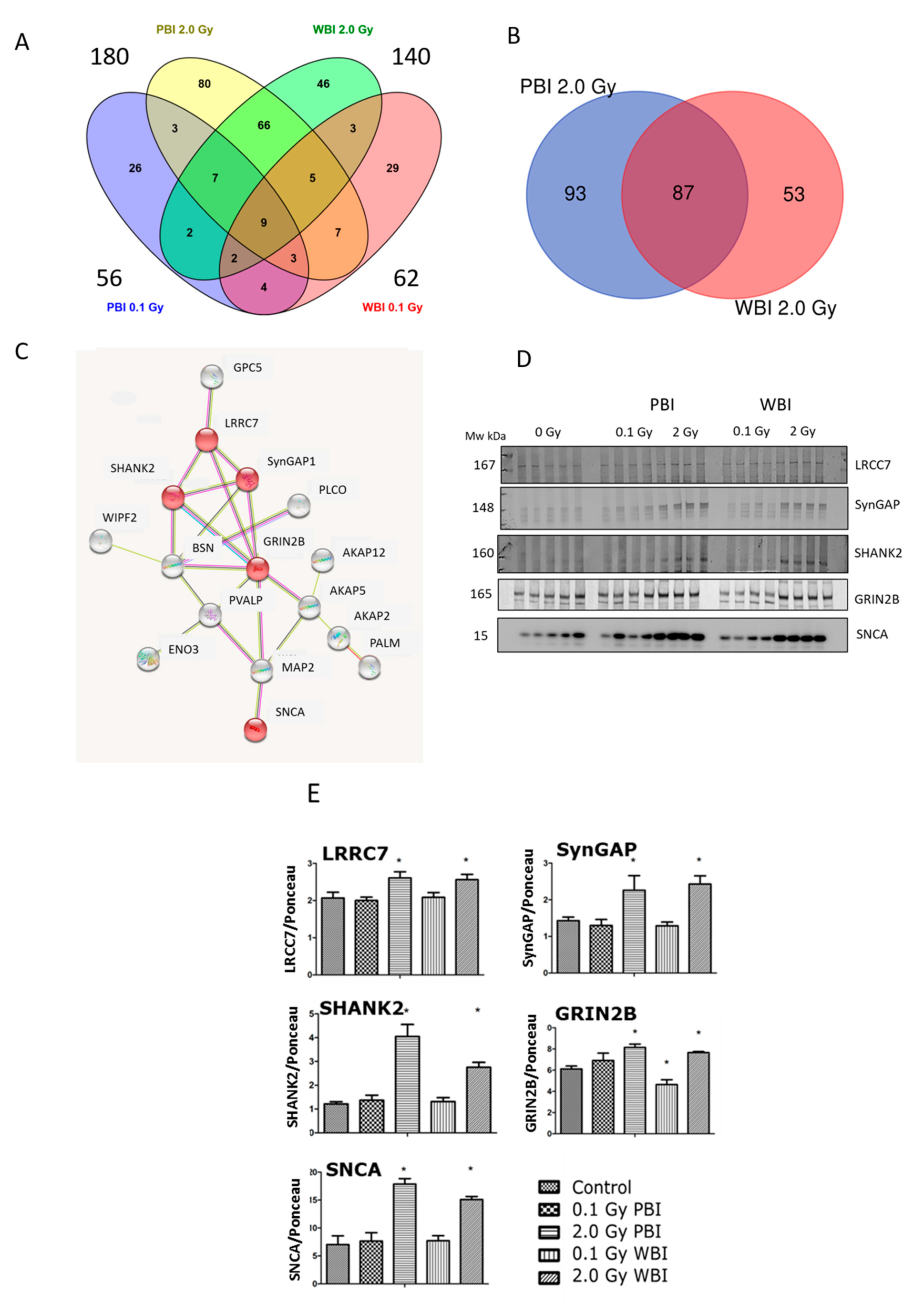 Ijms 22 04290 g006 Ijms 22 04290 g006