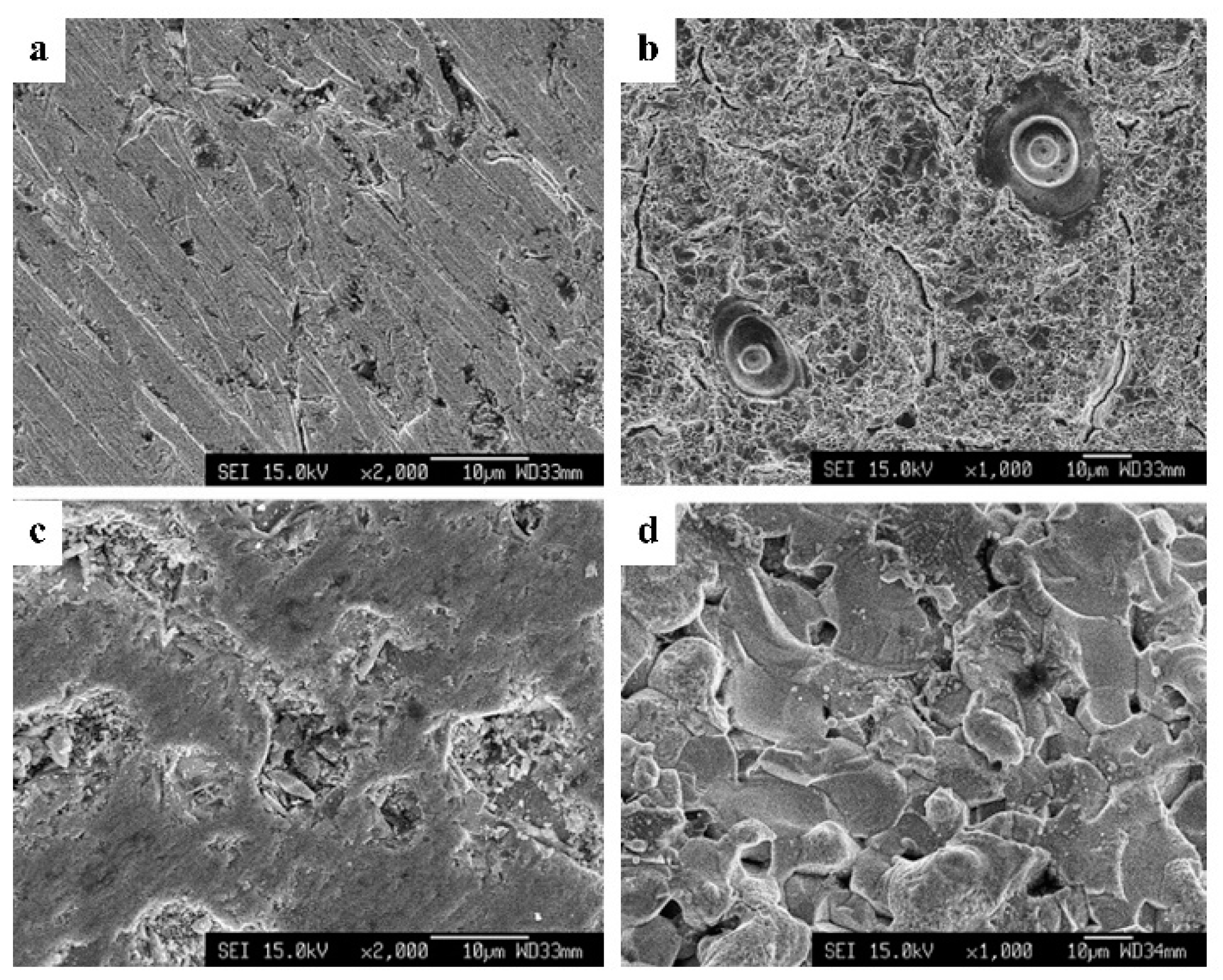 Ijms 22 04308 g006 Ijms 22 04308 g006