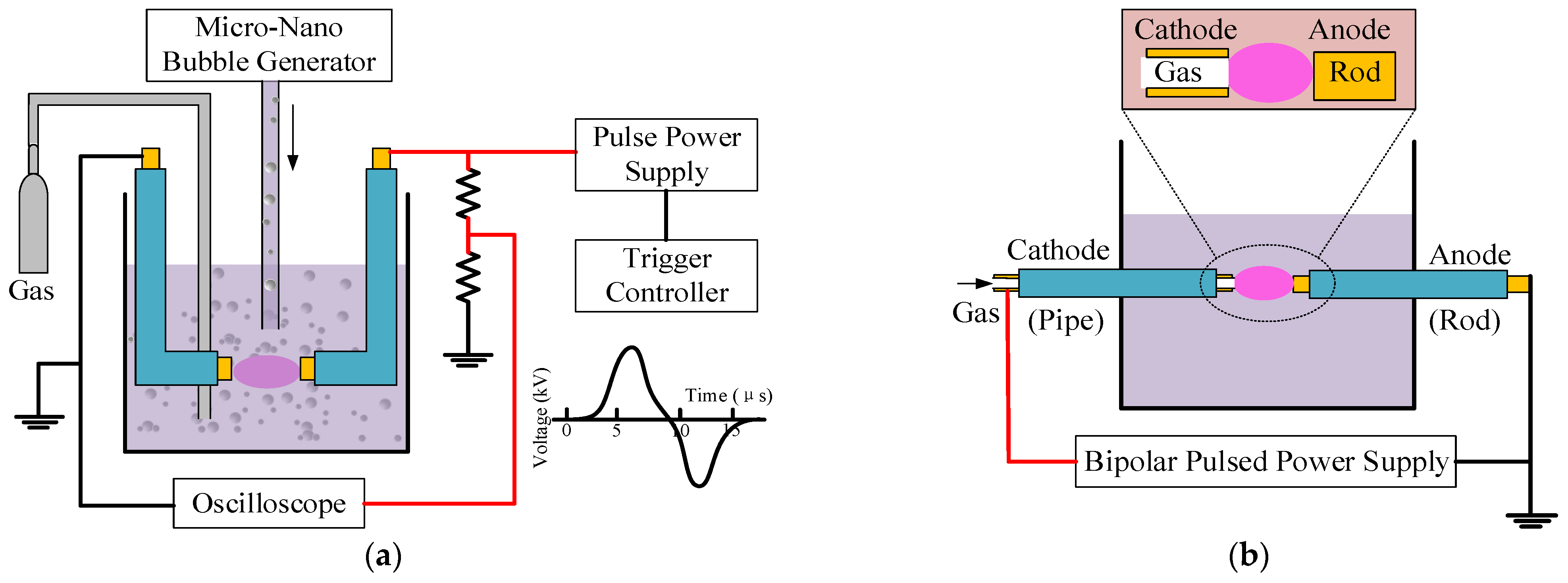 Ijms 22 04308 g007 Ijms 22 04308 g007