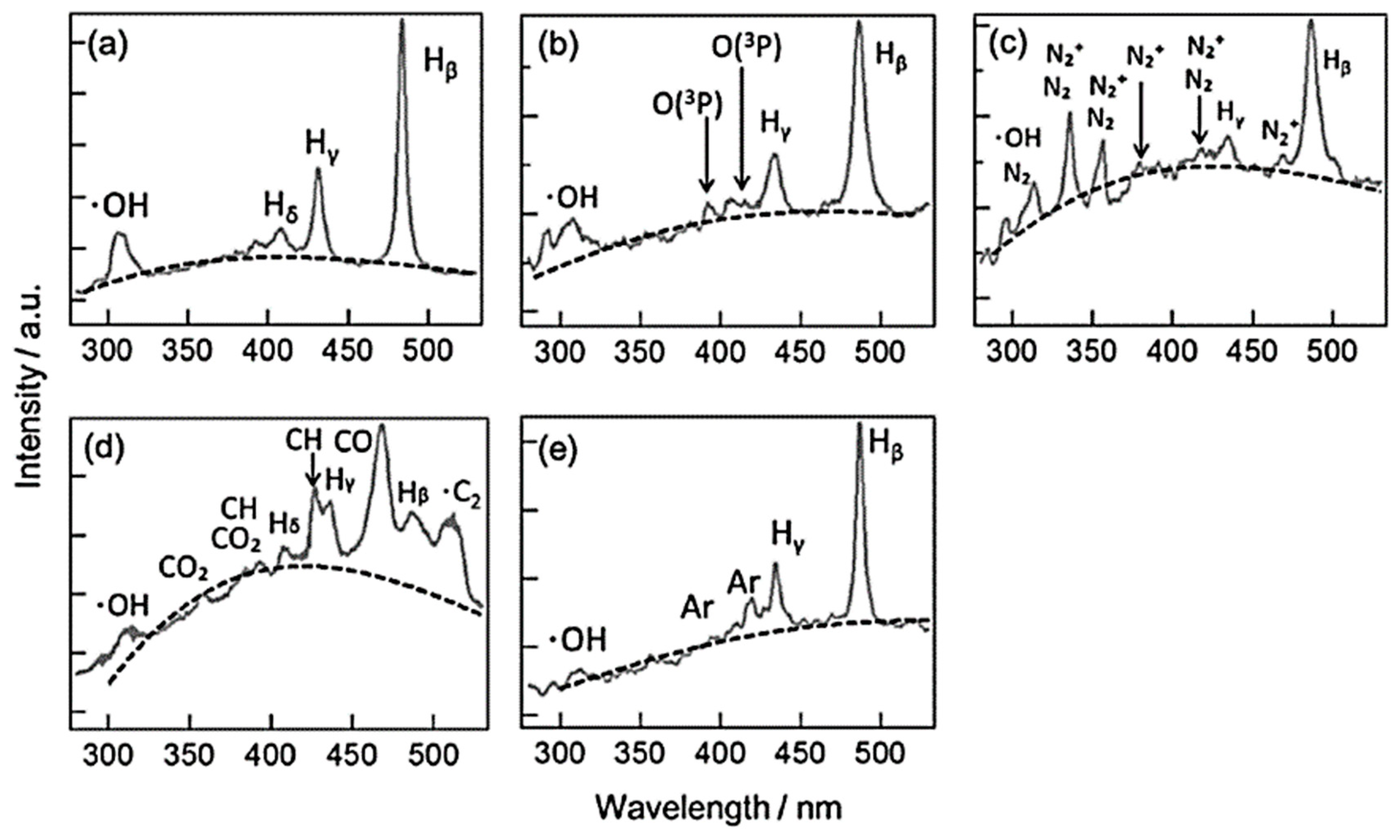Ijms 22 04308 g008 Ijms 22 04308 g008