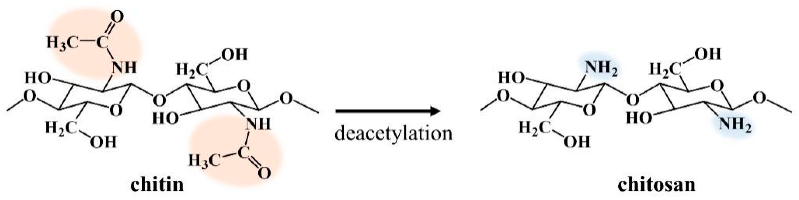 Ijms 22 04308 g009 Ijms 22 04308 g009