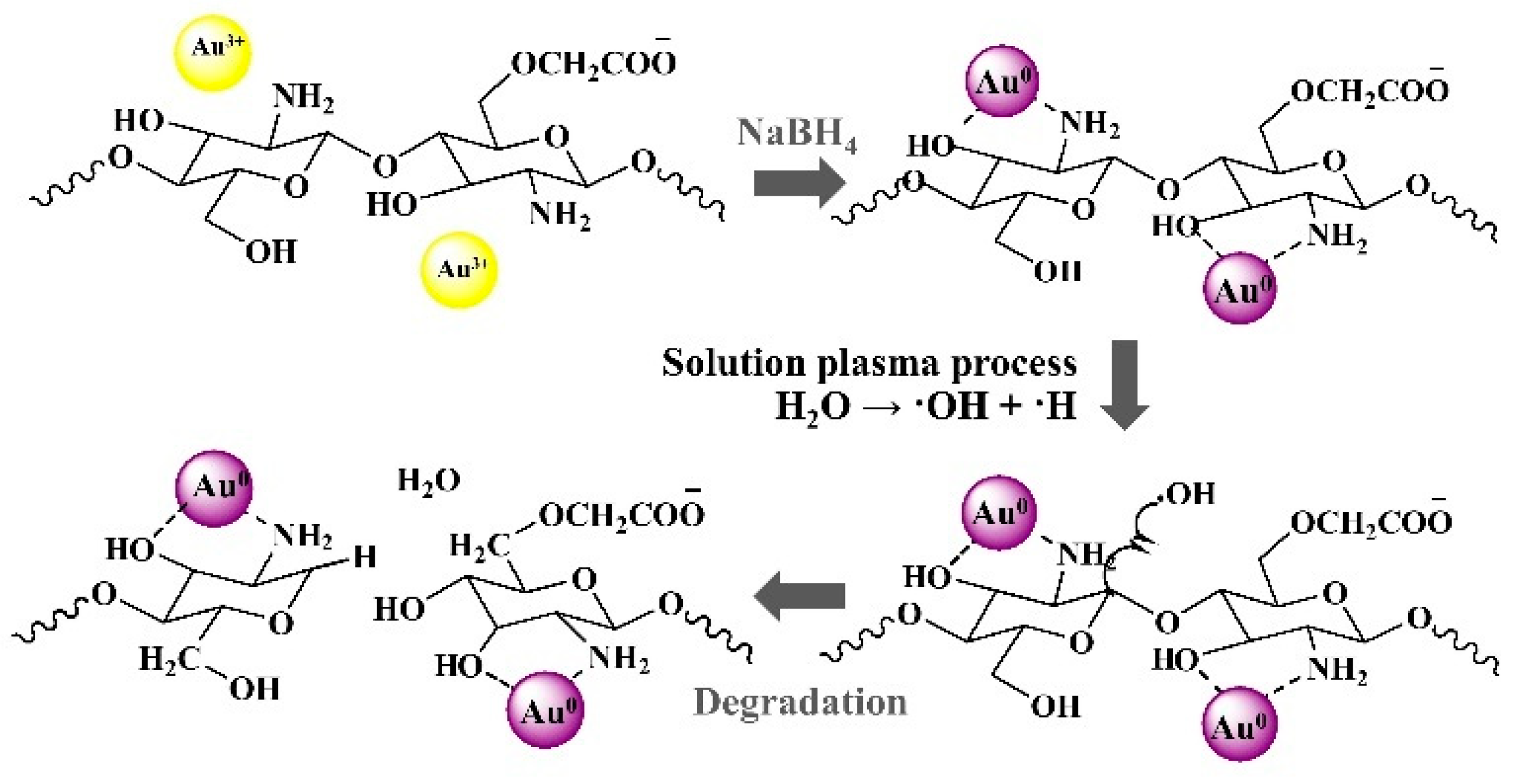 Ijms 22 04308 g011 Ijms 22 04308 g011