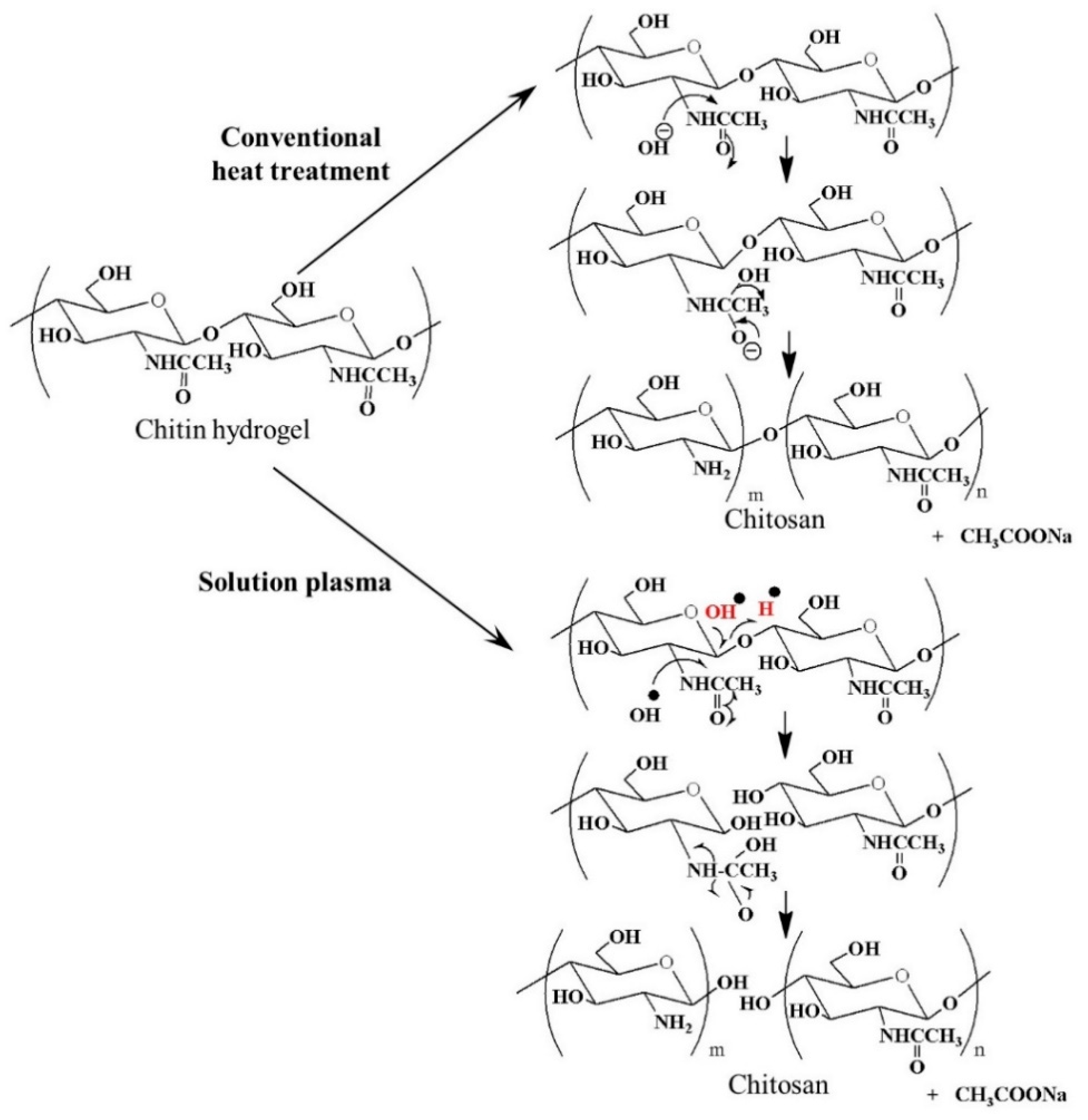 Ijms 22 04308 g016 Ijms 22 04308 g016