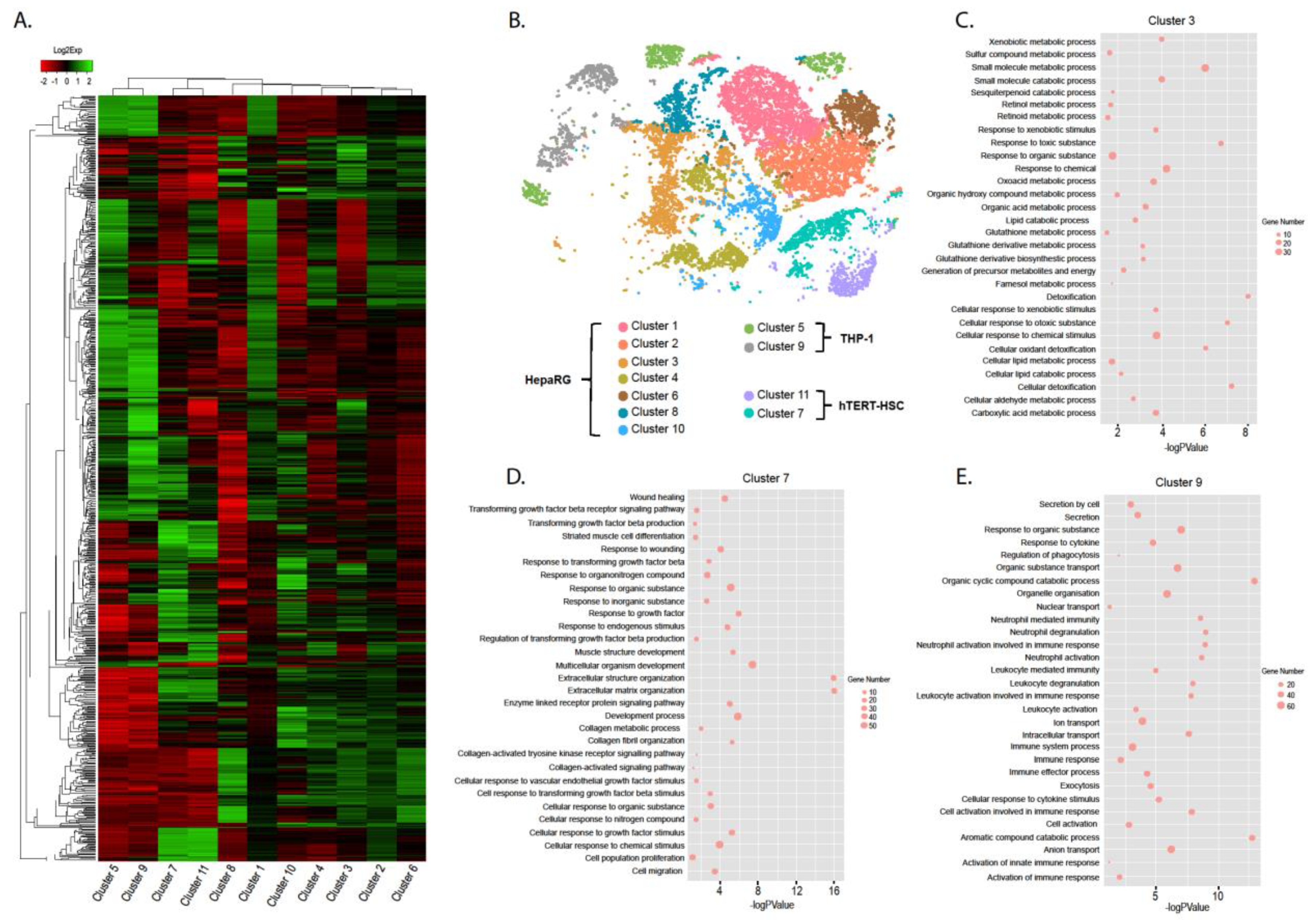 Ijms 22 04372 g004 Ijms 22 04372 g004