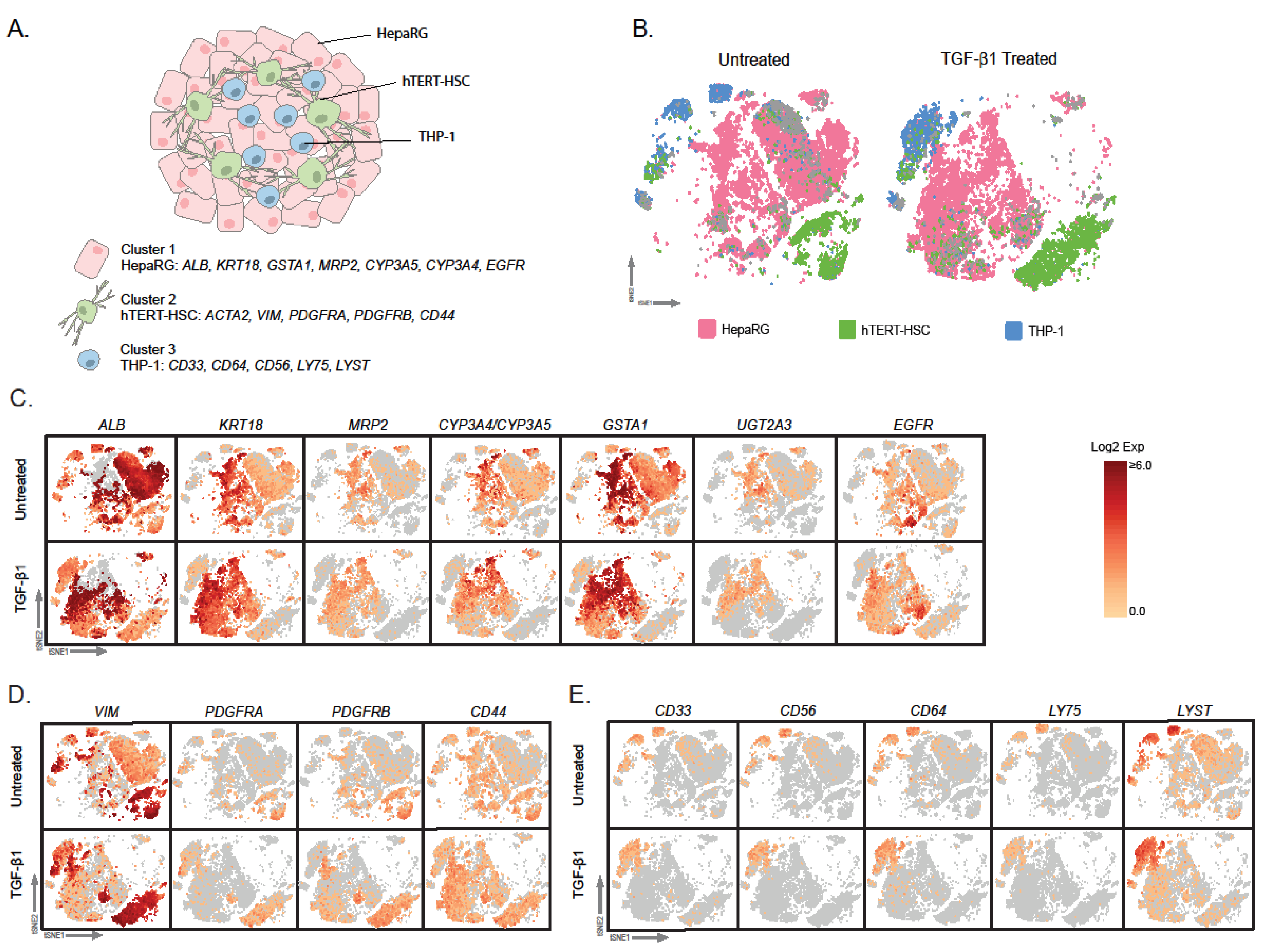 Ijms 22 04372 g005 Ijms 22 04372 g005