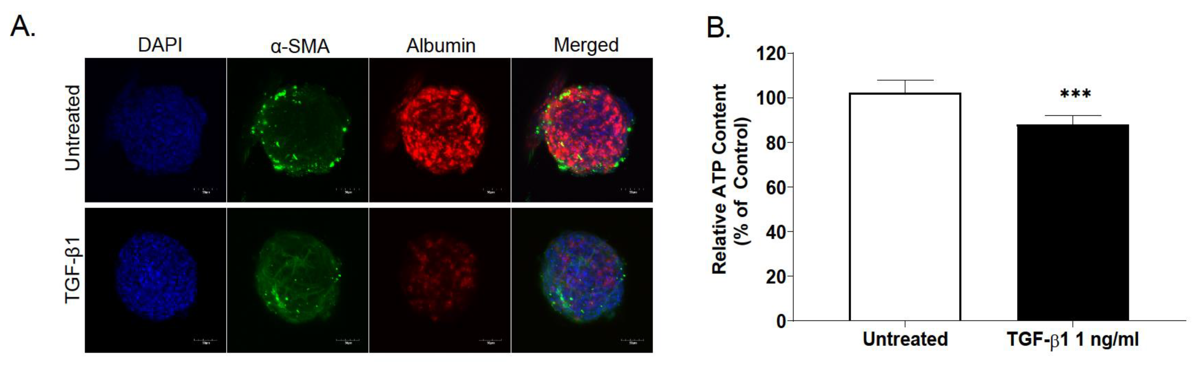 Ijms 22 04372 g006 Ijms 22 04372 g006