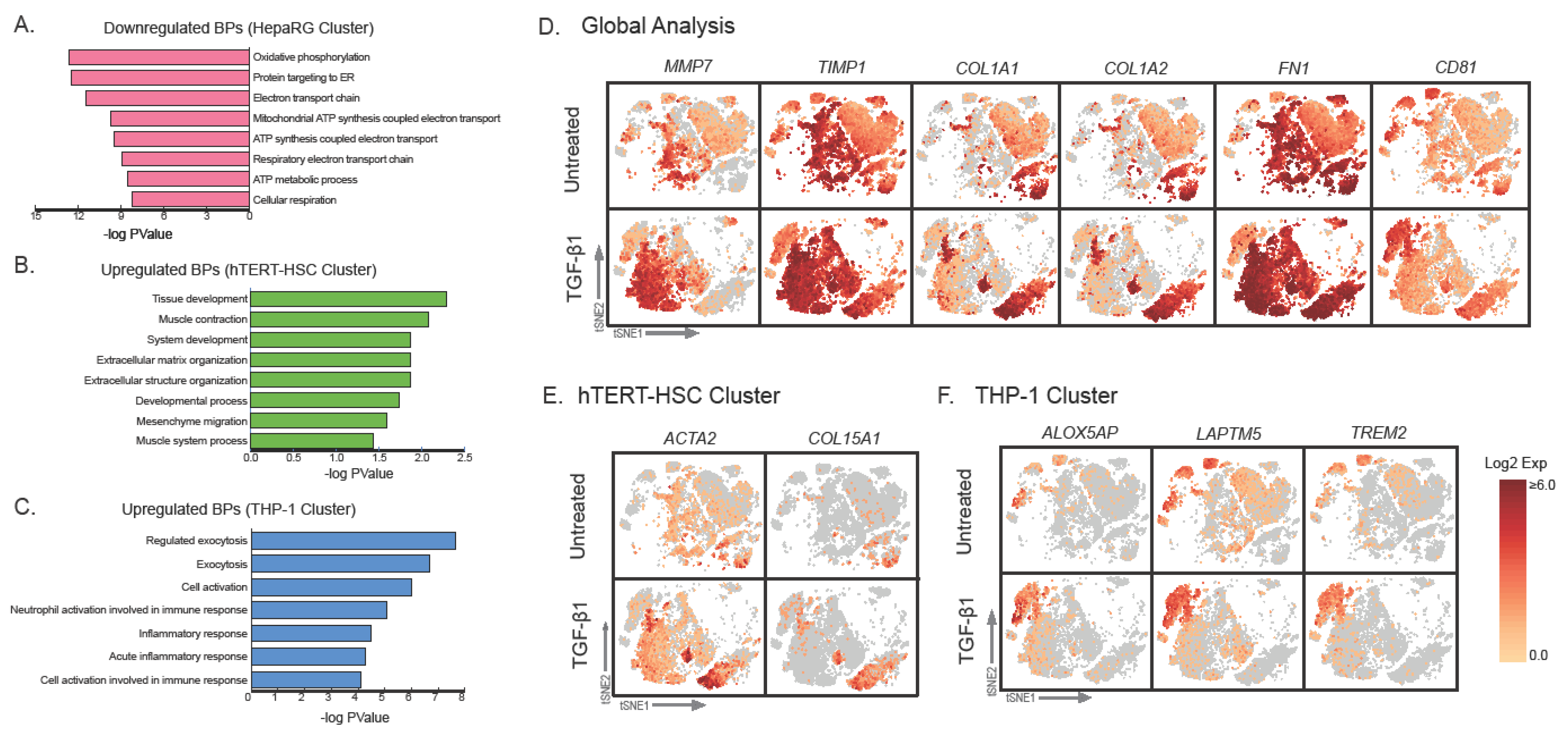 Ijms 22 04372 g007 Ijms 22 04372 g007