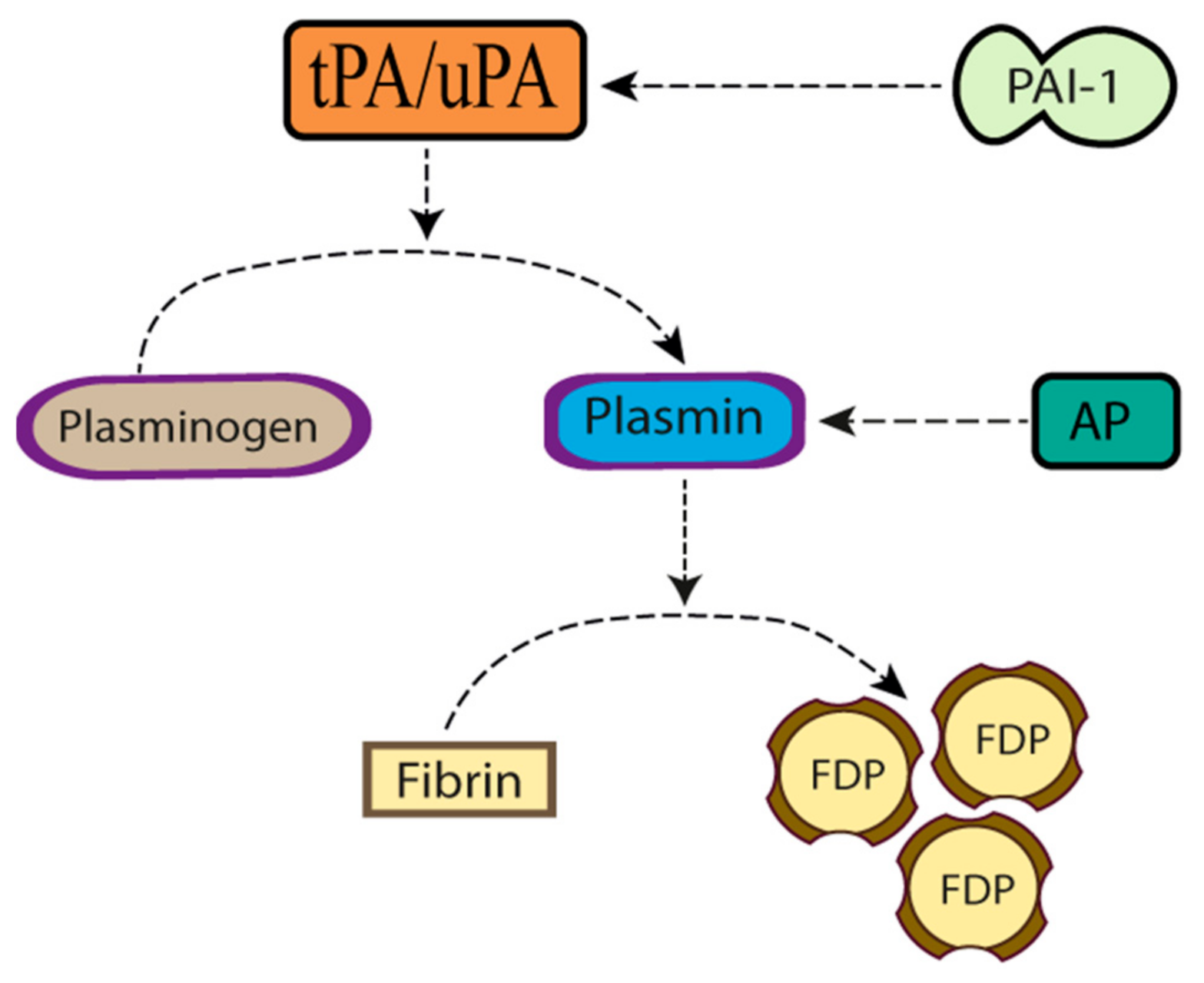 tissue plasminogen activator