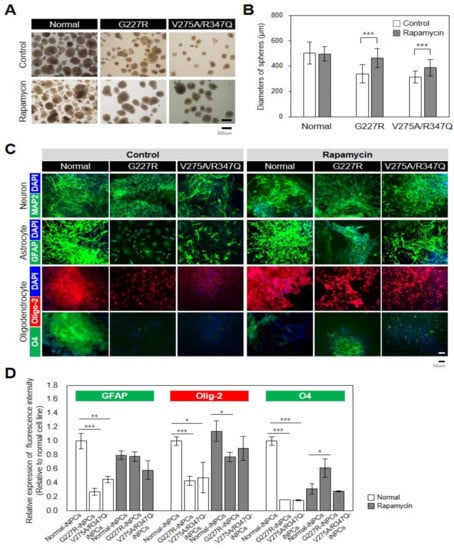 Presynaptic Dysfunction in Neurons Derived from Tay–Sachs iPSCs