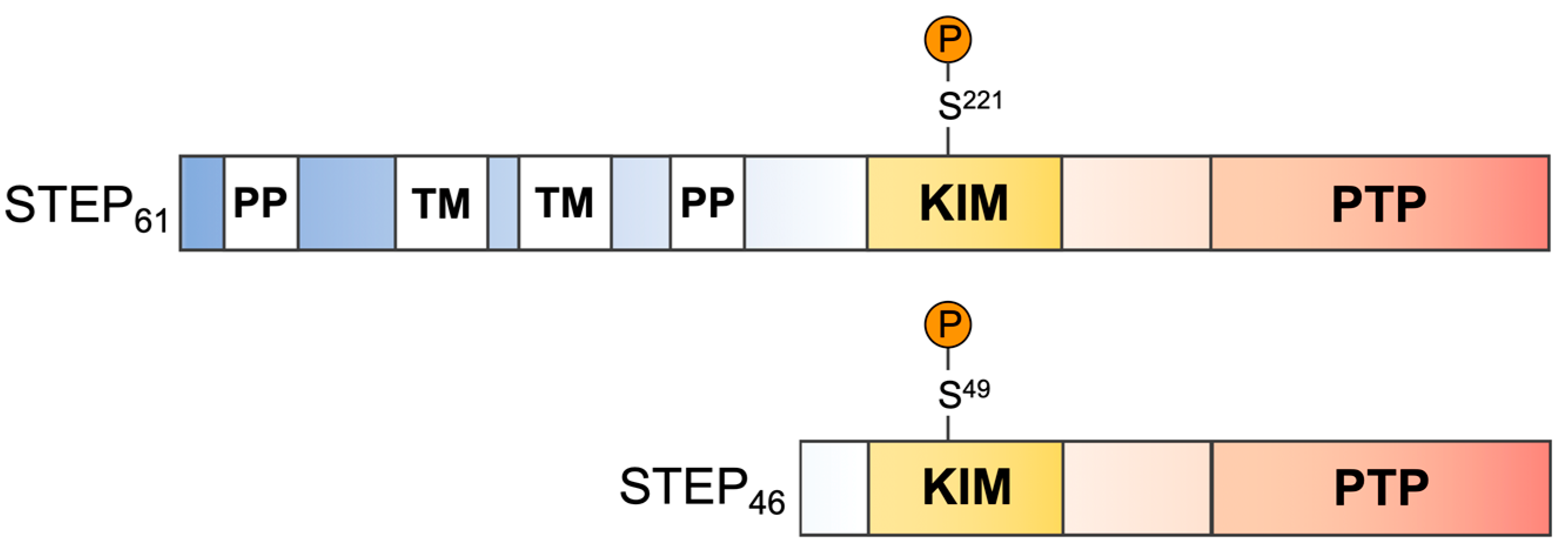 Ijms 22 04417 g001 Ijms 22 04417 g001