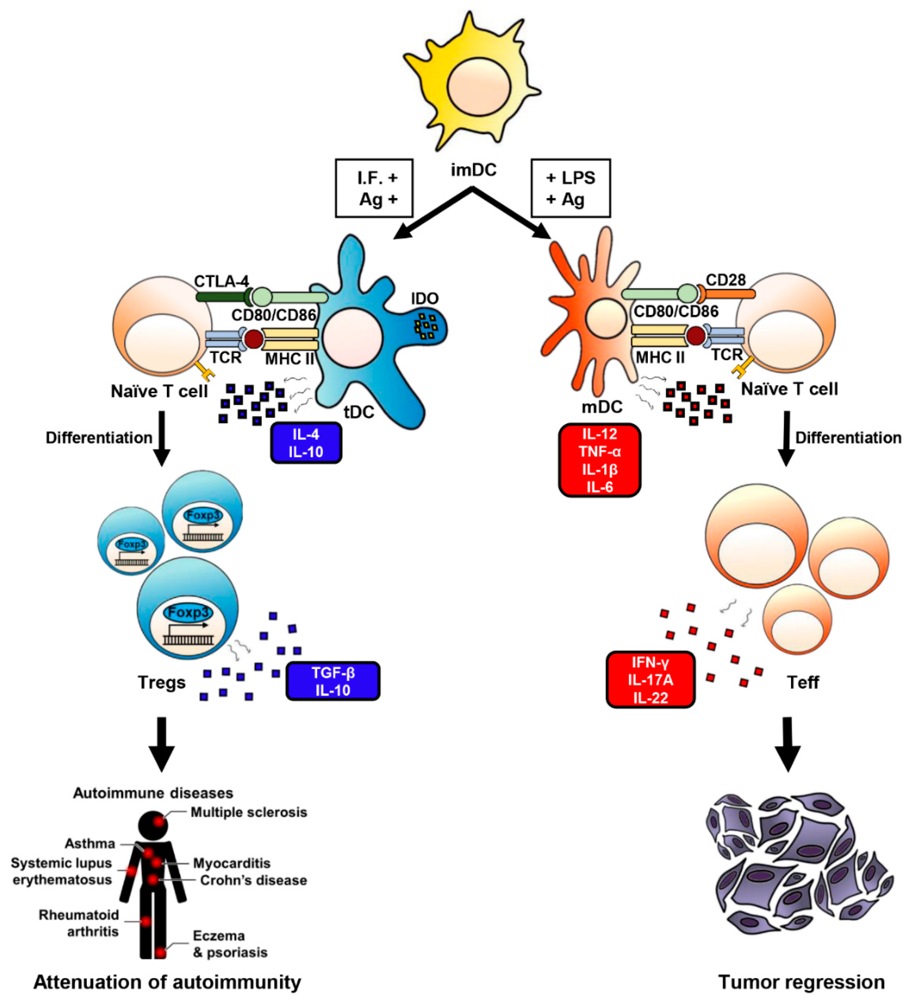 Ijms 22 04430 g001 Ijms 22 04430 g001
