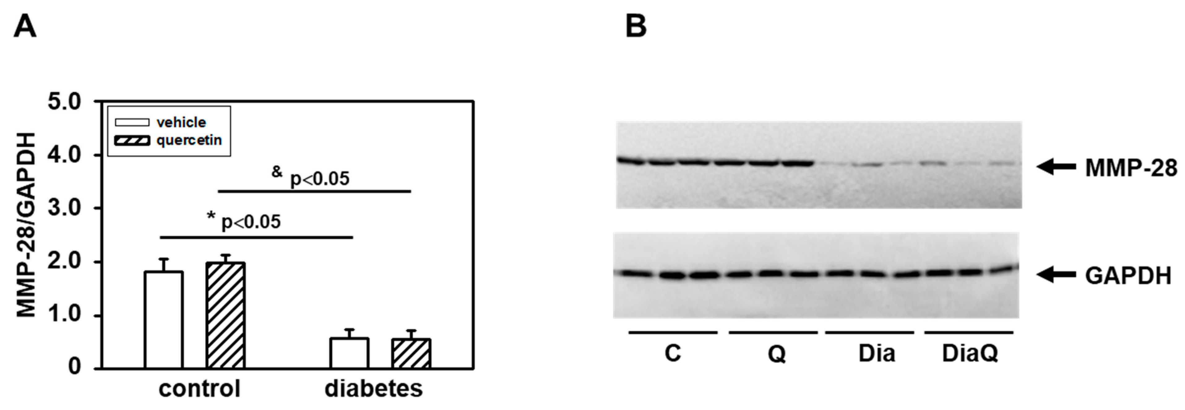 Ijms 22 04457 g004 Ijms 22 04457 g004