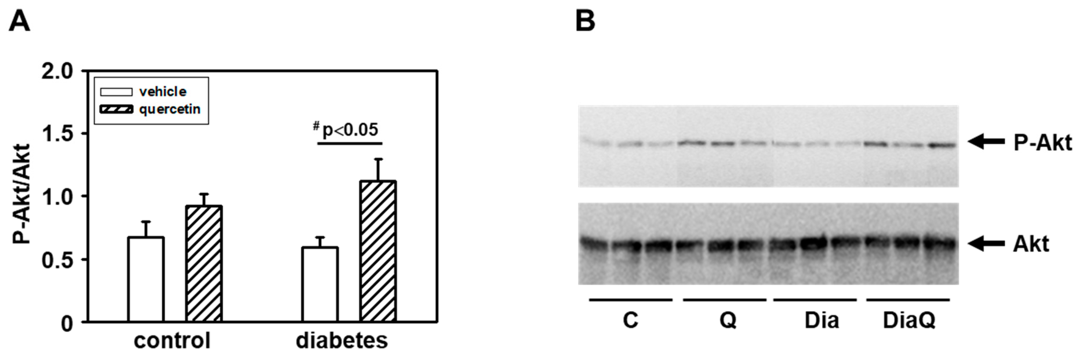 Ijms 22 04457 g007 Ijms 22 04457 g007