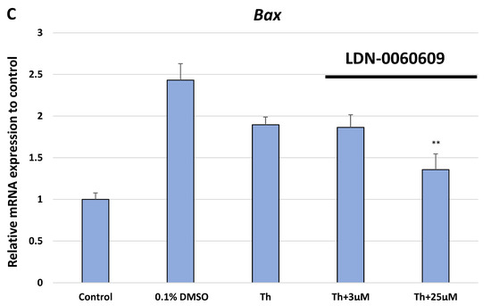 IJMS | Free Full-Text | The Potential Role of Small-Molecule PERK Inhibitor  LDN-0060609 in Primary Open-Angle Glaucoma Treatment | HTML