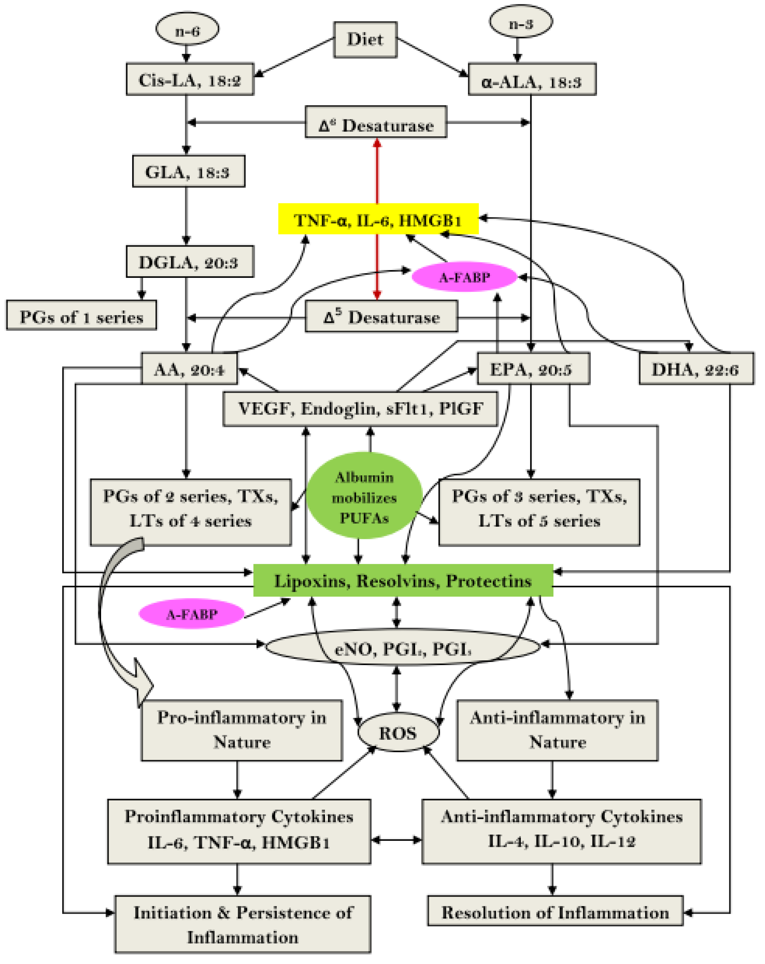 Ijms 22 04496 g003 Ijms 22 04496 g003