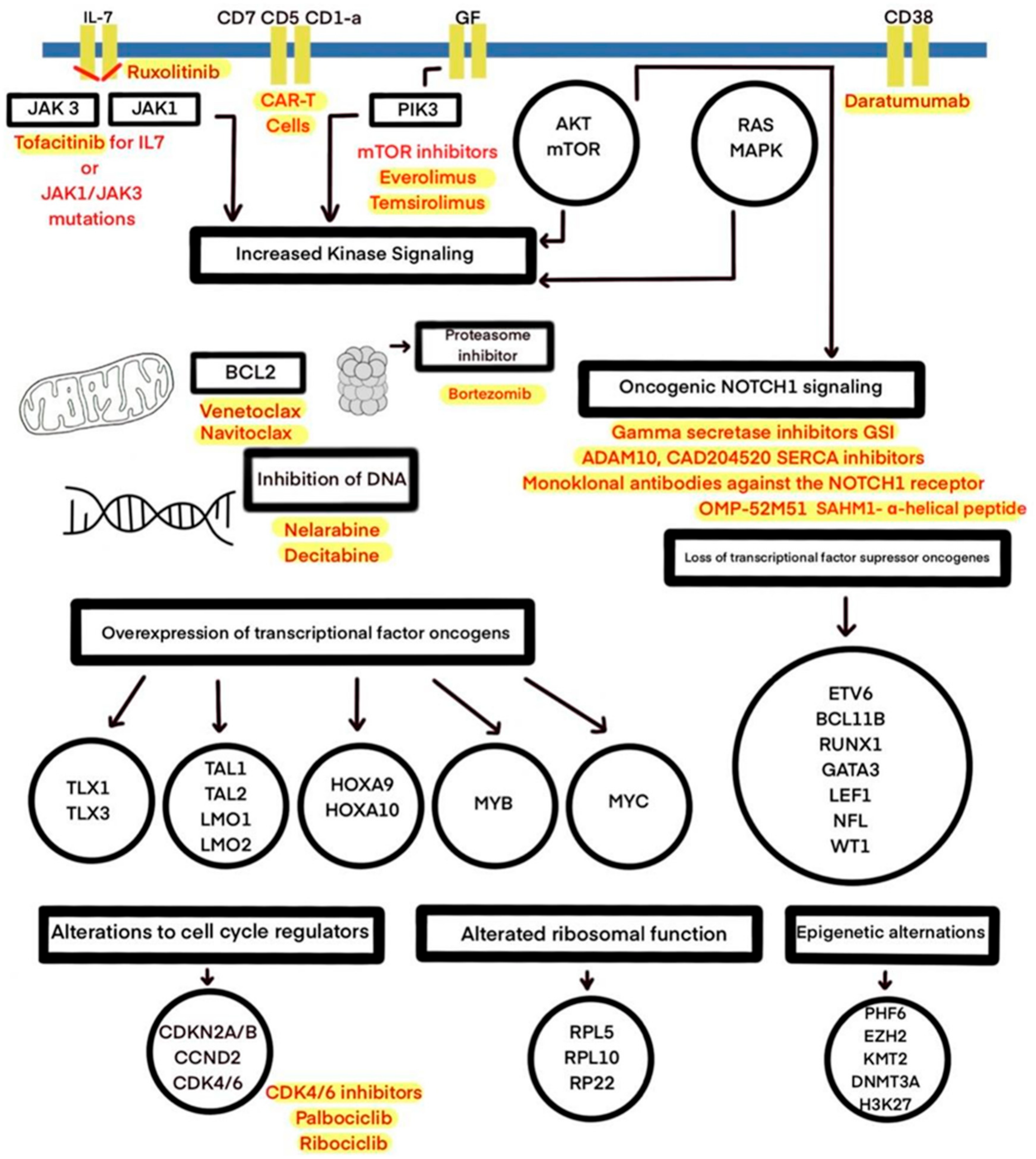 Ijms 22 04502 g001 Ijms 22 04502 g001