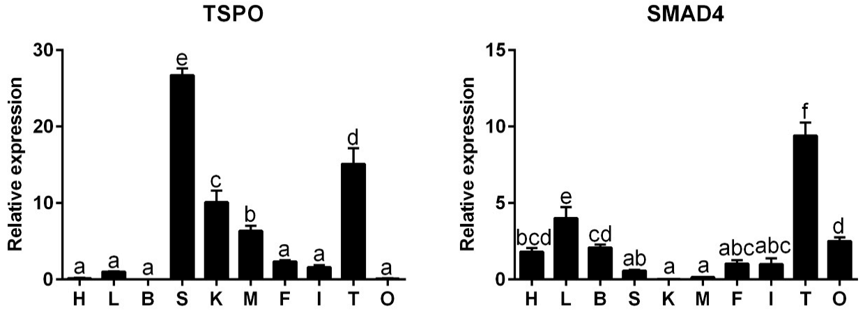 Ijms 22 04505 g001 Ijms 22 04505 g001
