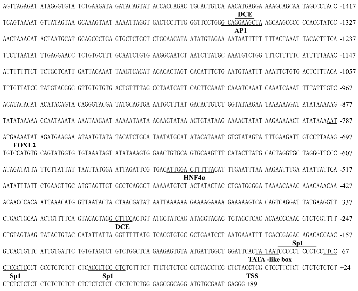 Ijms 22 04505 g003 Ijms 22 04505 g003