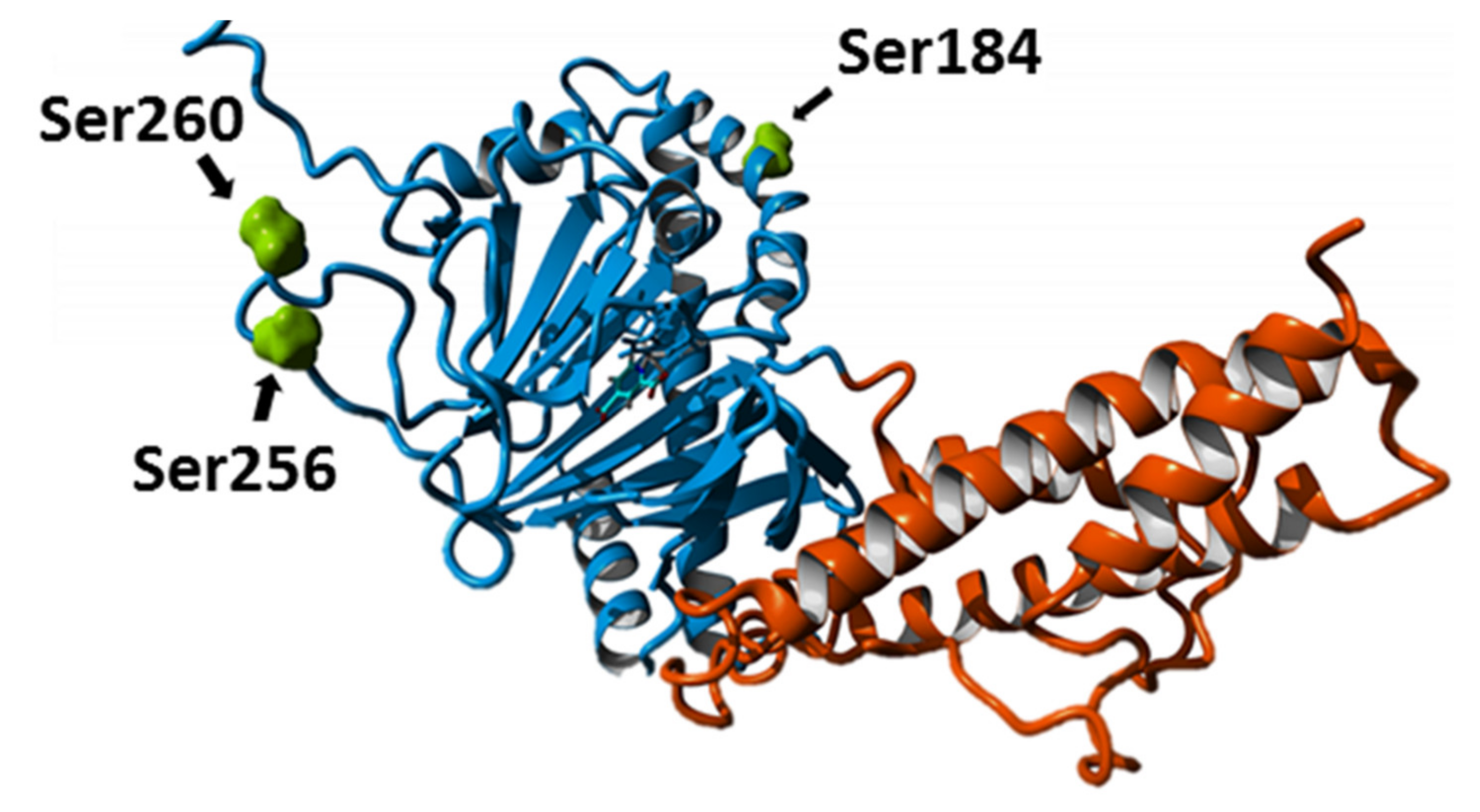 Ijms 22 04512 g003 Ijms 22 04512 g003