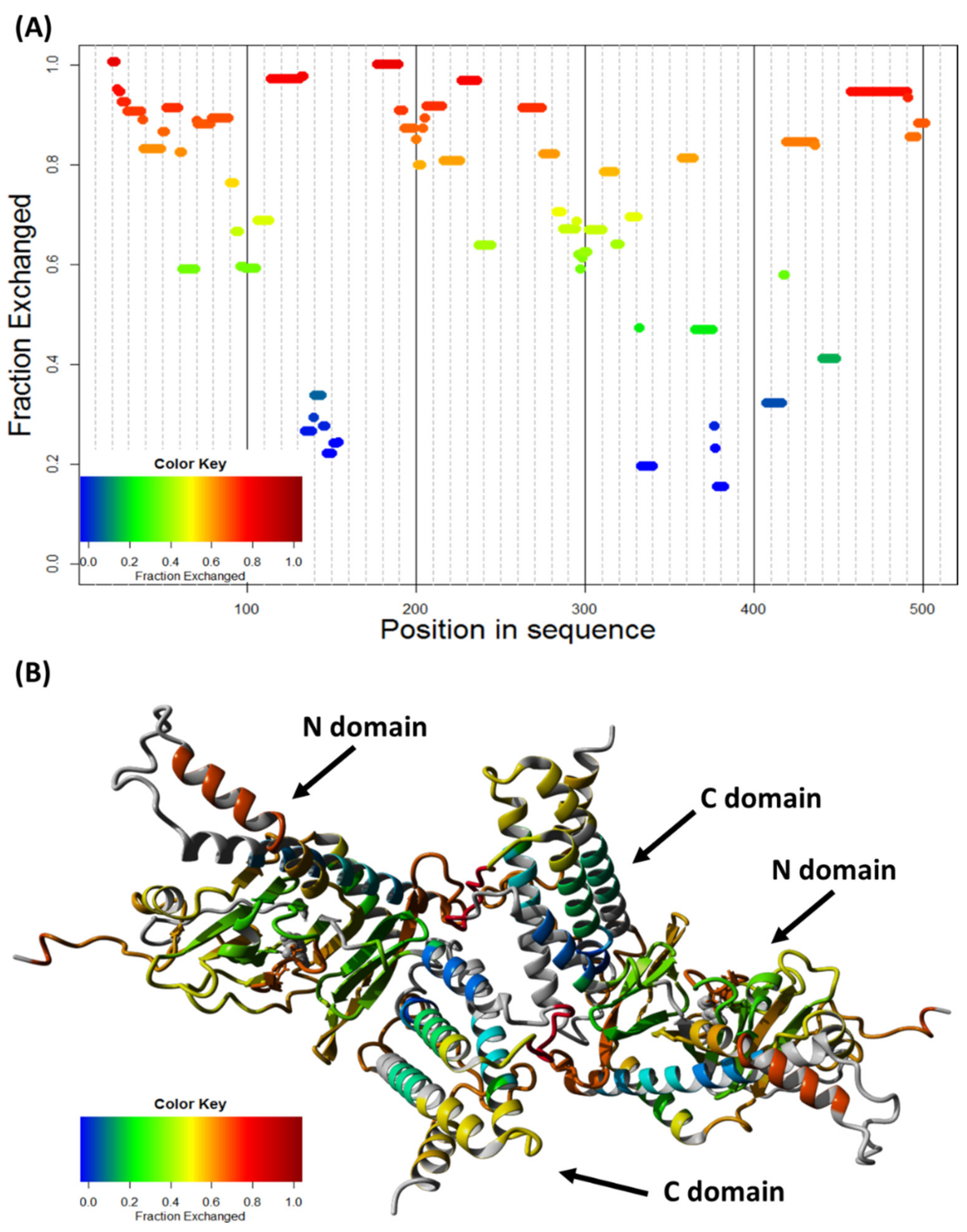 Ijms 22 04512 g008 Ijms 22 04512 g008