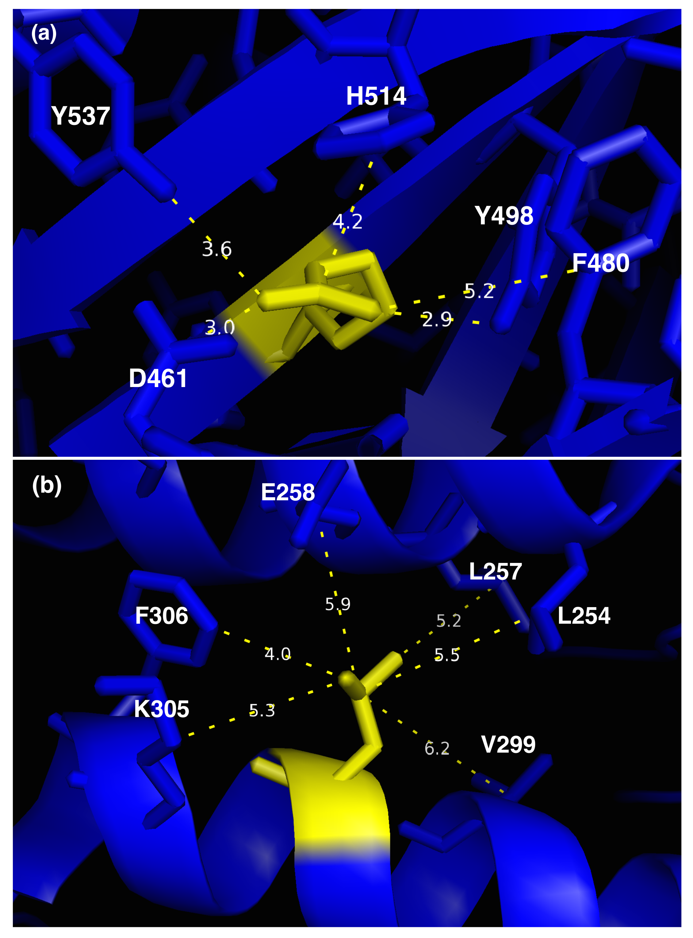 Ijms 22 04516 g006 Ijms 22 04516 g006