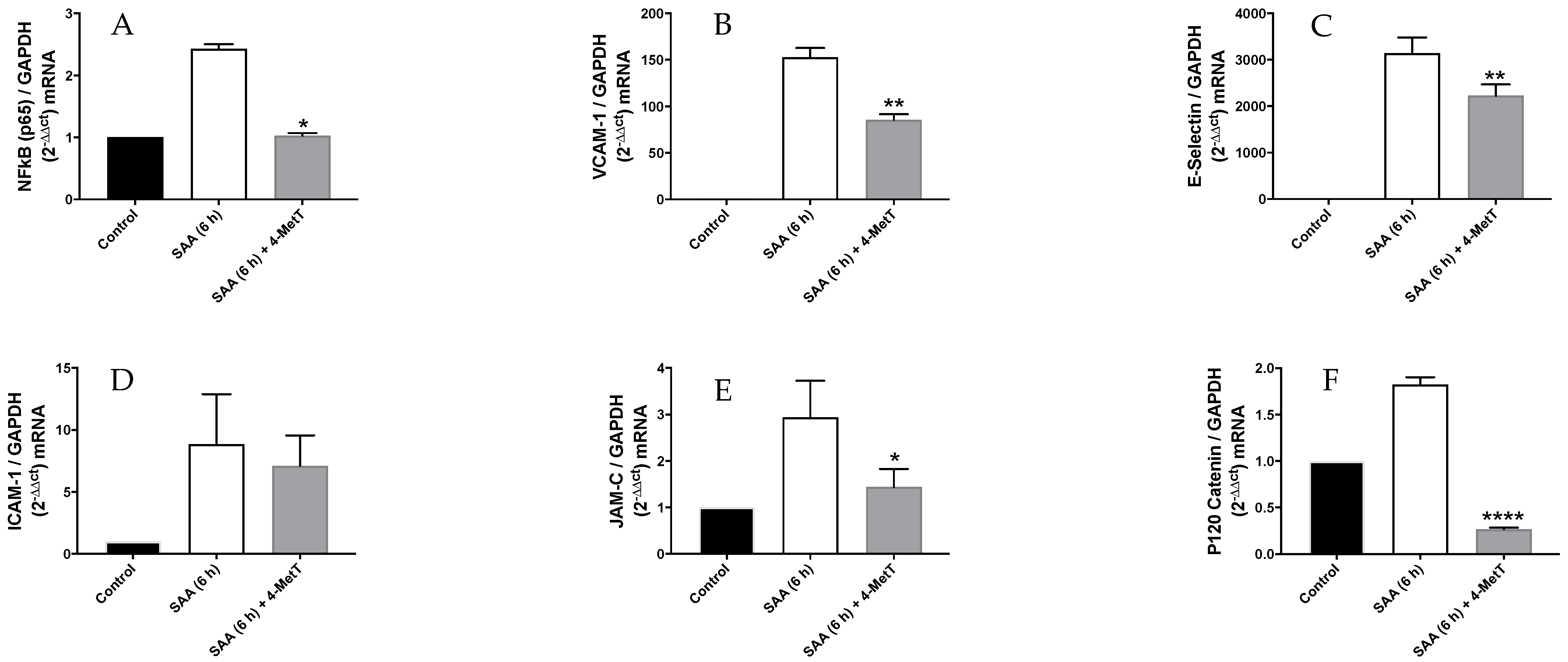 Ijms 22 04549 g003 Ijms 22 04549 g003