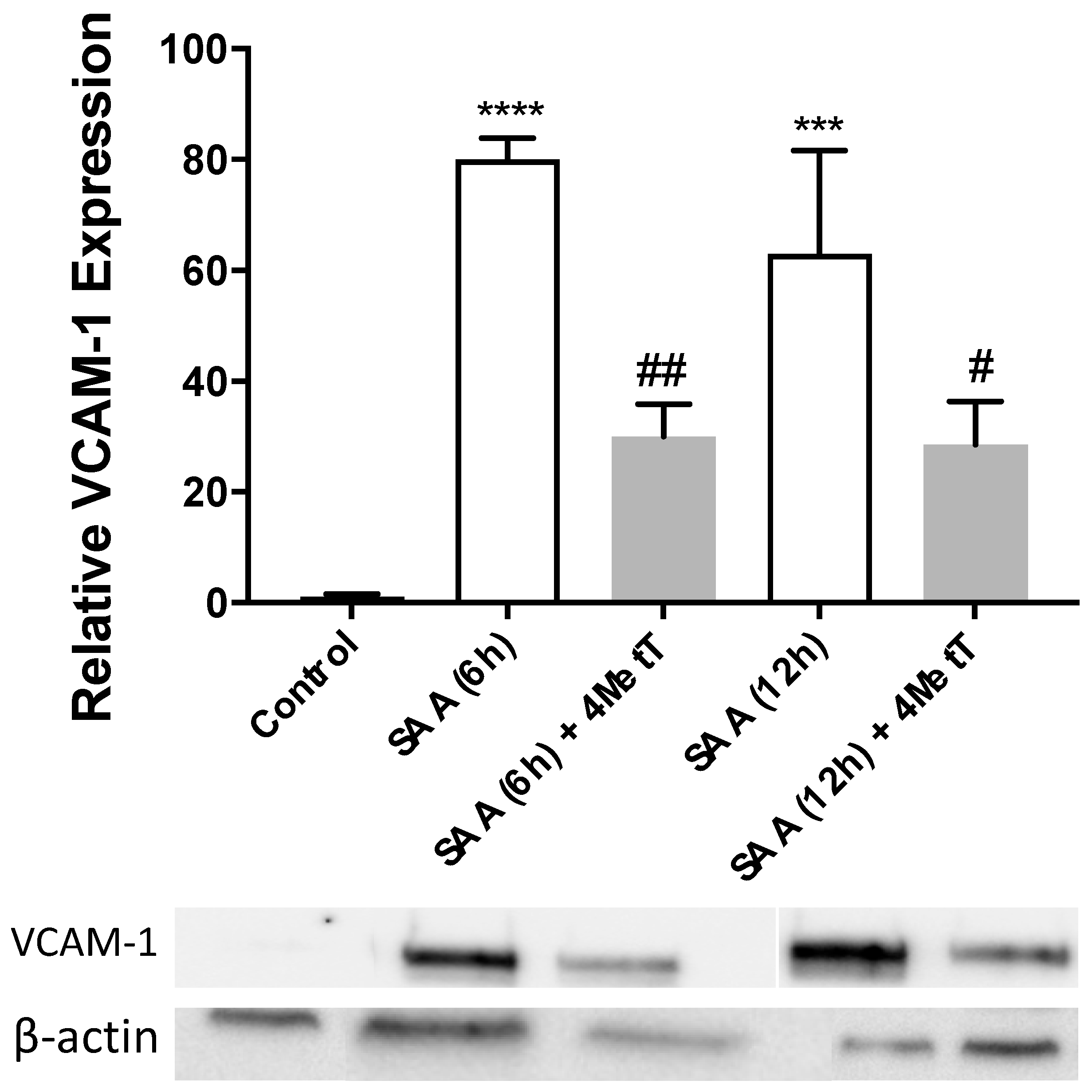 Ijms 22 04549 g004 Ijms 22 04549 g004