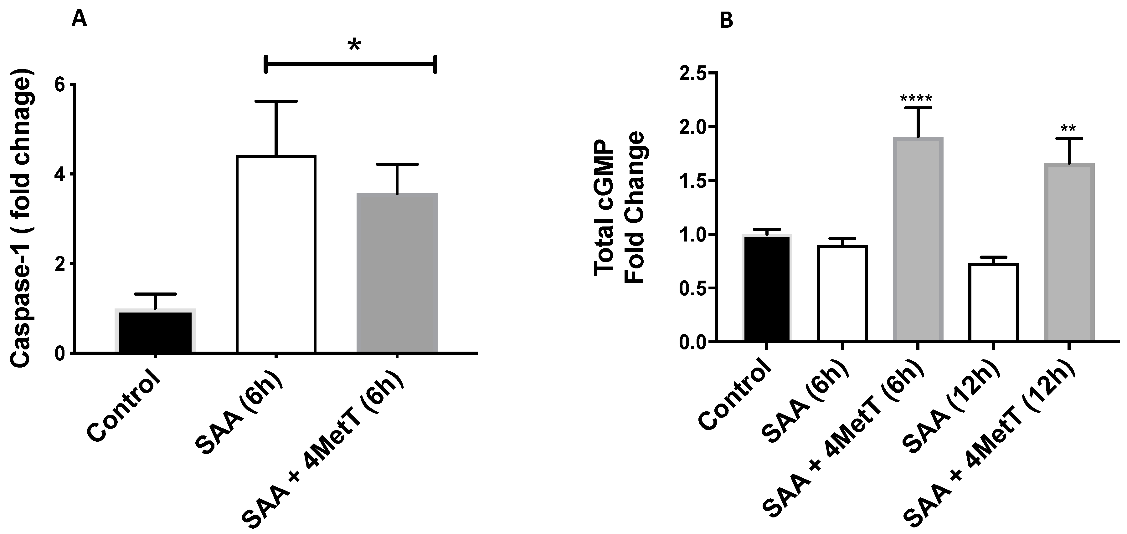 Ijms 22 04549 g005 Ijms 22 04549 g005