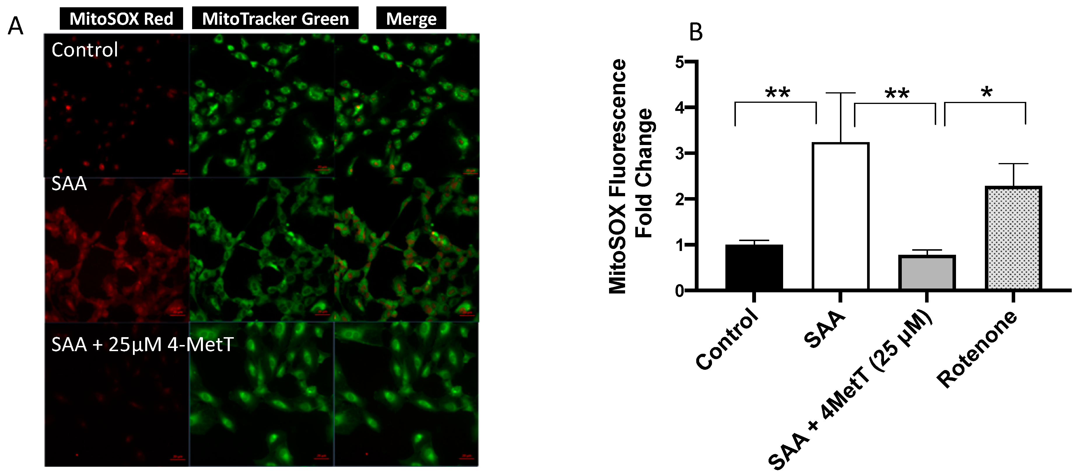 Ijms 22 04549 g006 Ijms 22 04549 g006