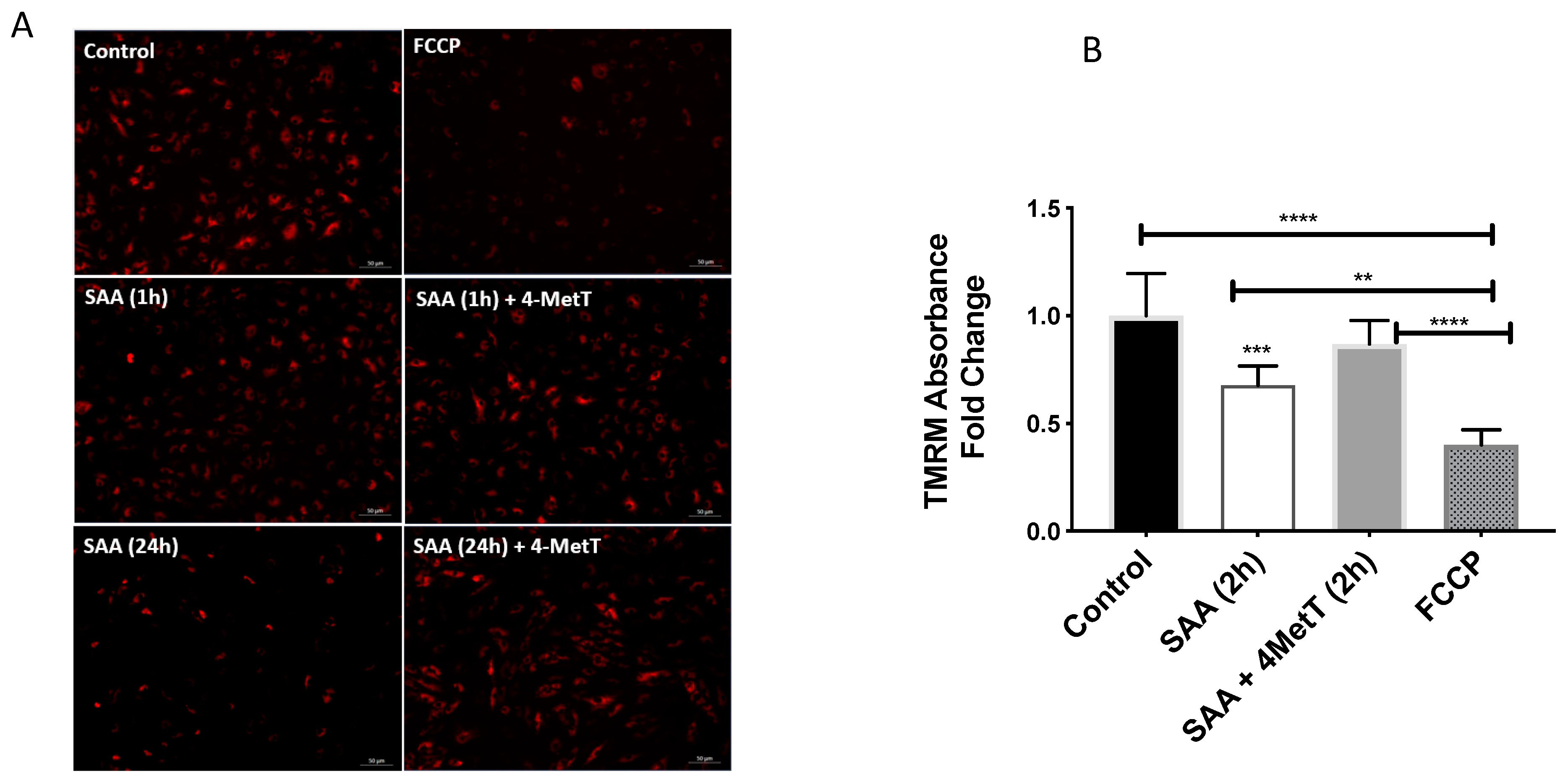 Ijms 22 04549 g007 Ijms 22 04549 g007
