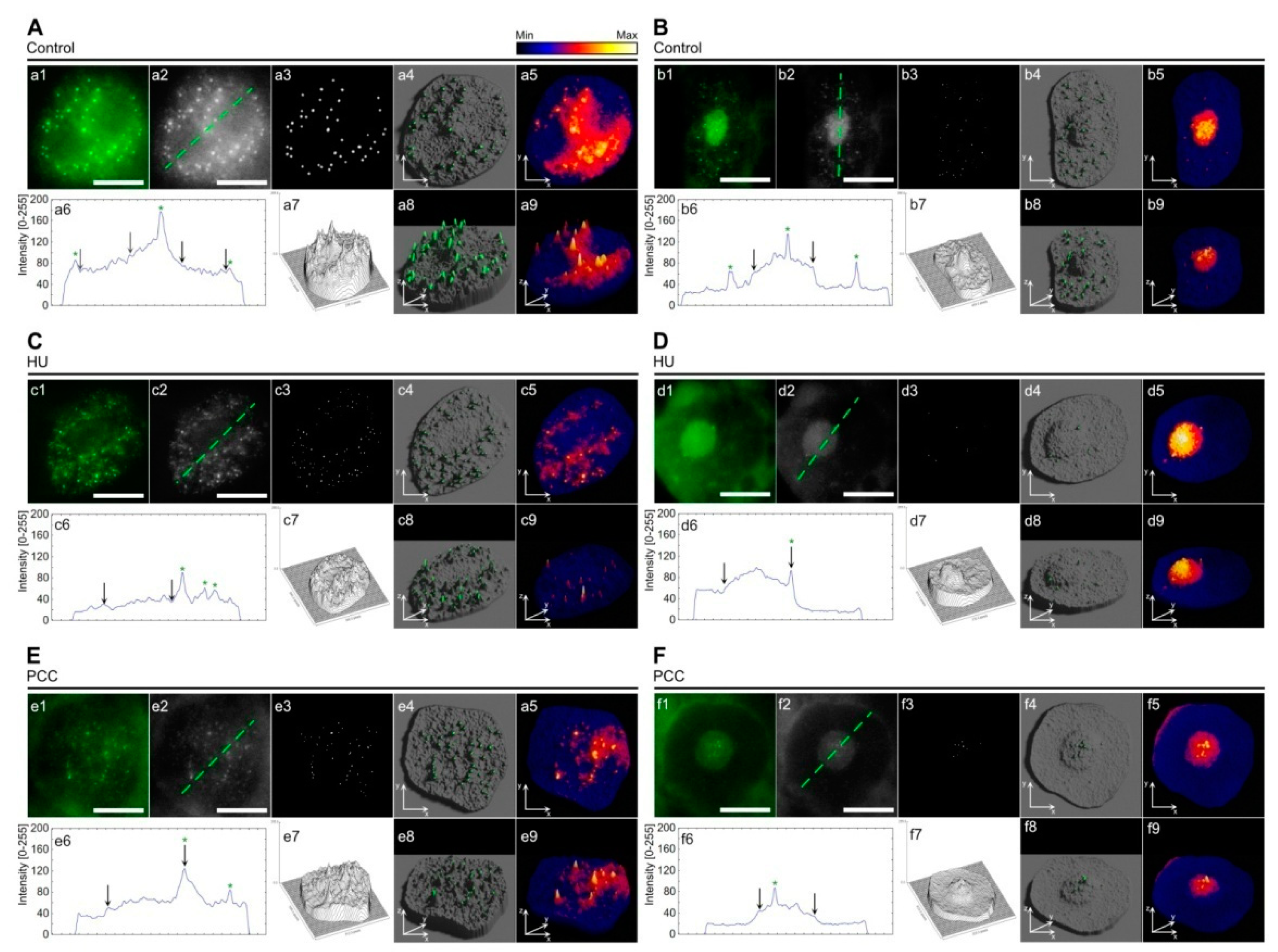 Ijms 22 04572 g003 Ijms 22 04572 g003