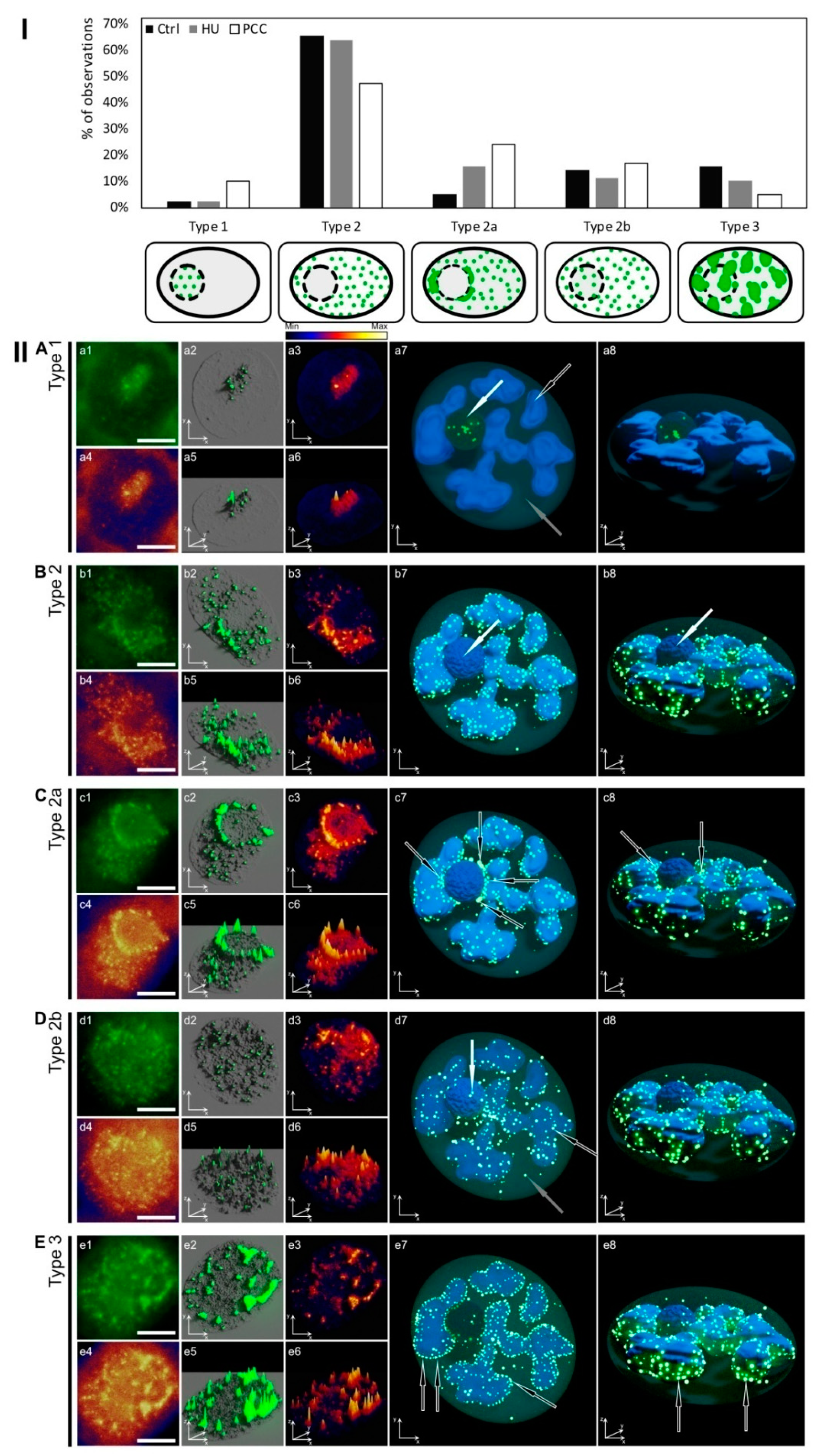 Ijms 22 04572 g005 Ijms 22 04572 g005