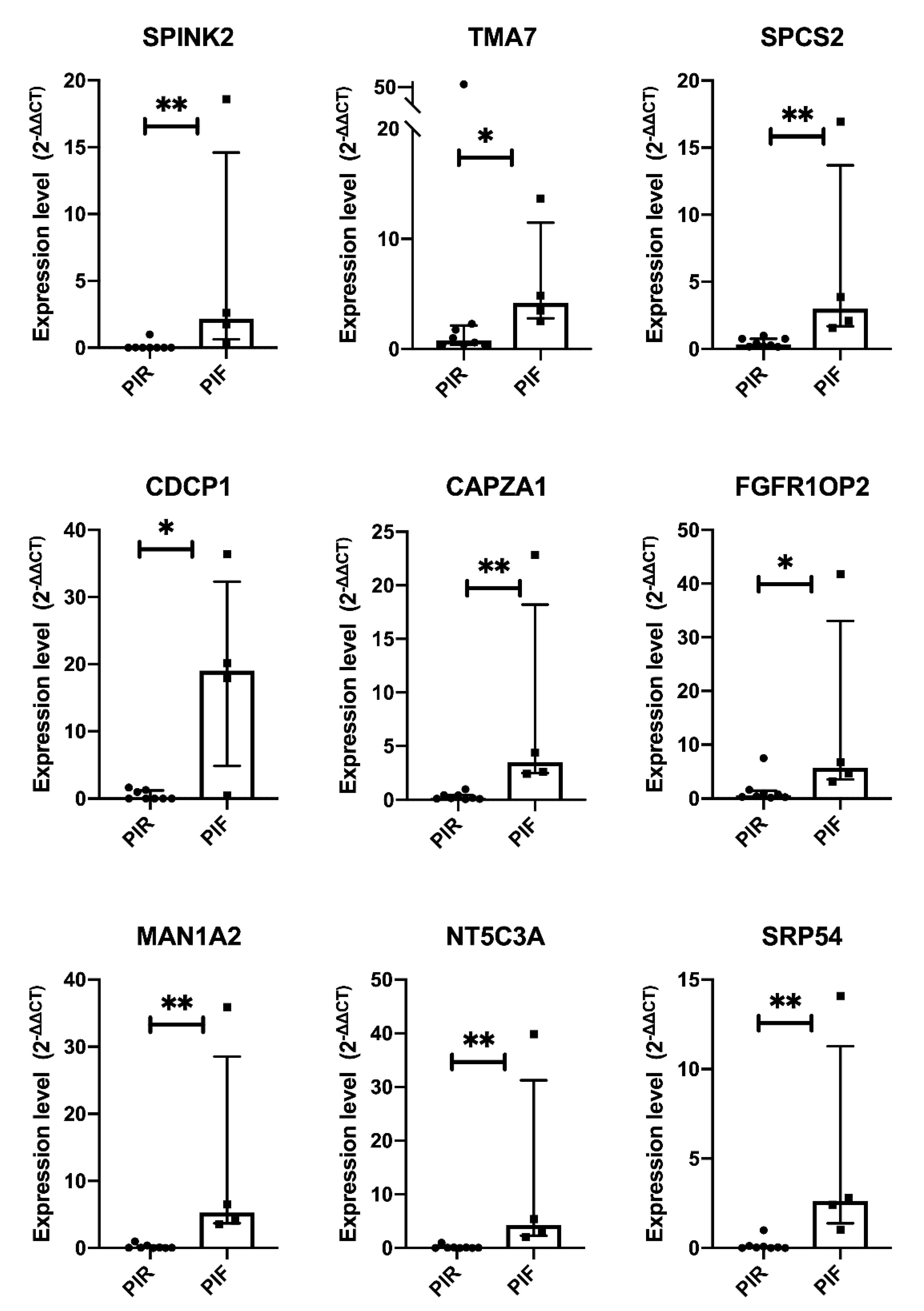 Ijms 22 04575 g004 Ijms 22 04575 g004