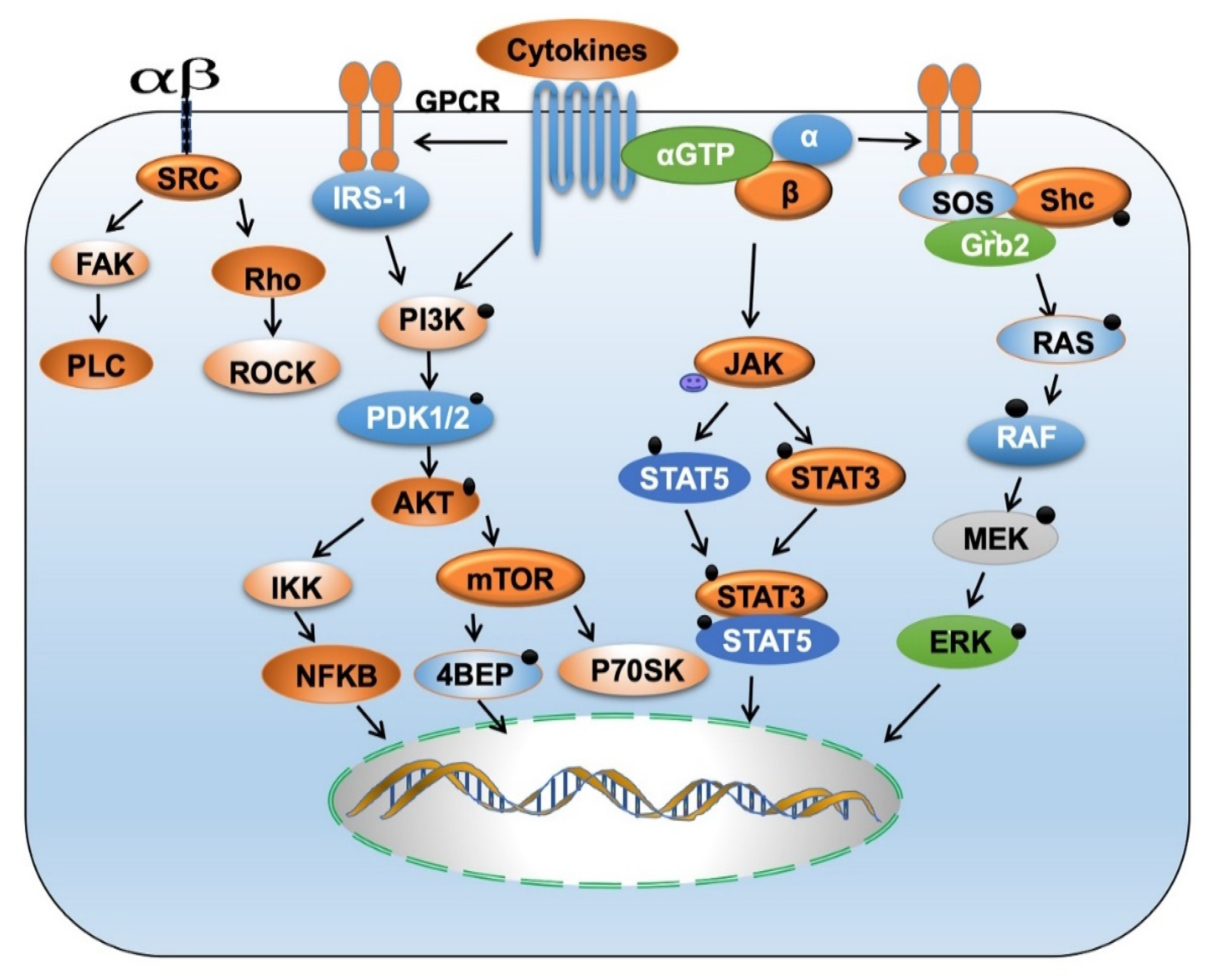 Ijms 22 04584 g003 Ijms 22 04584 g003