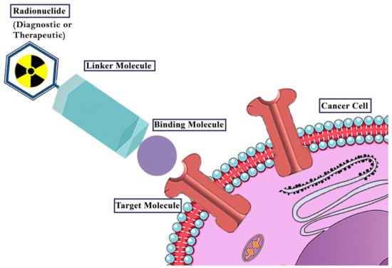 IJMS | Free Full-Text | Theranostic Advances In Breast Cancer In ...