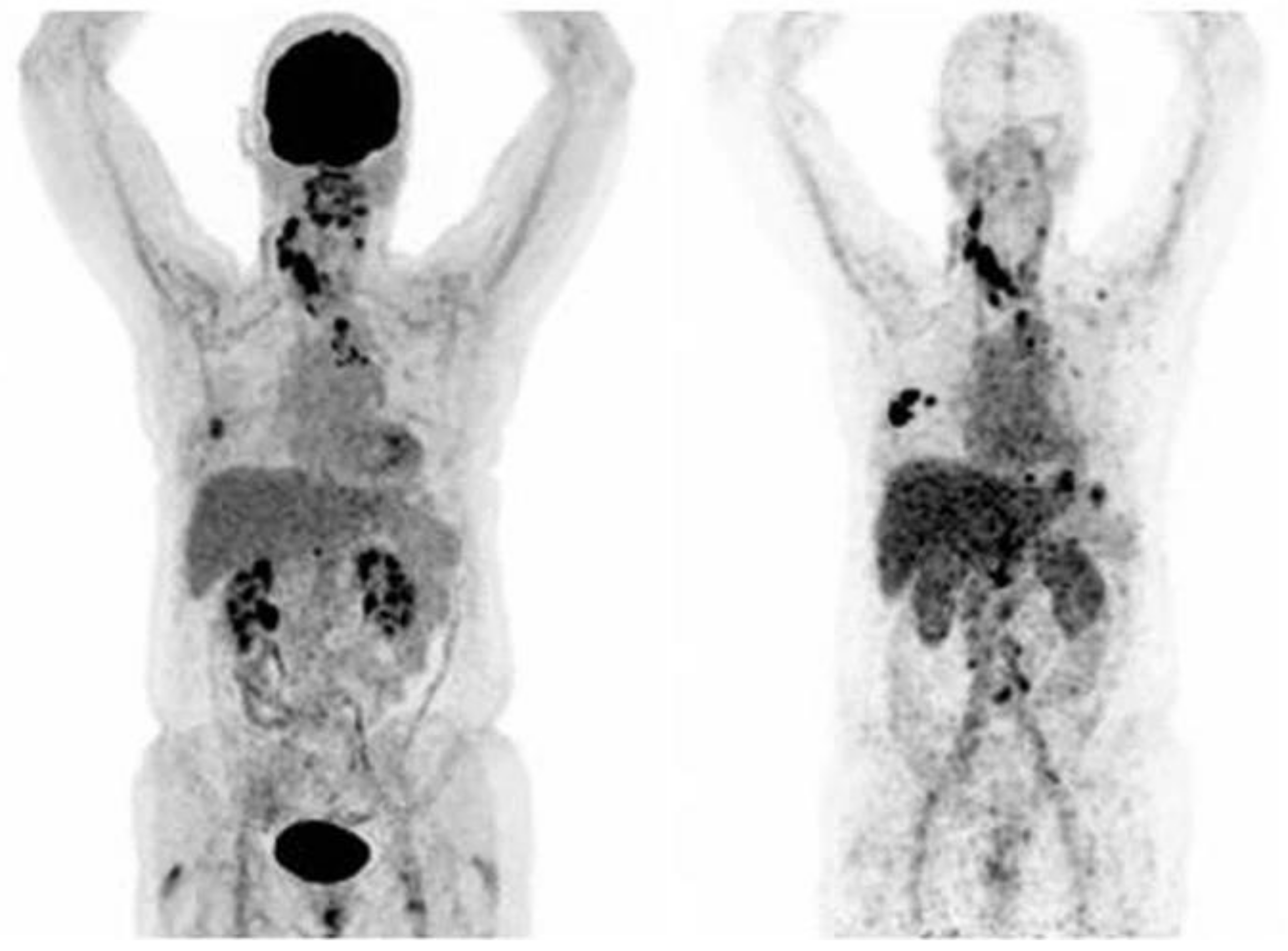 Ijms 22 04597 g002 Ijms 22 04597 g002