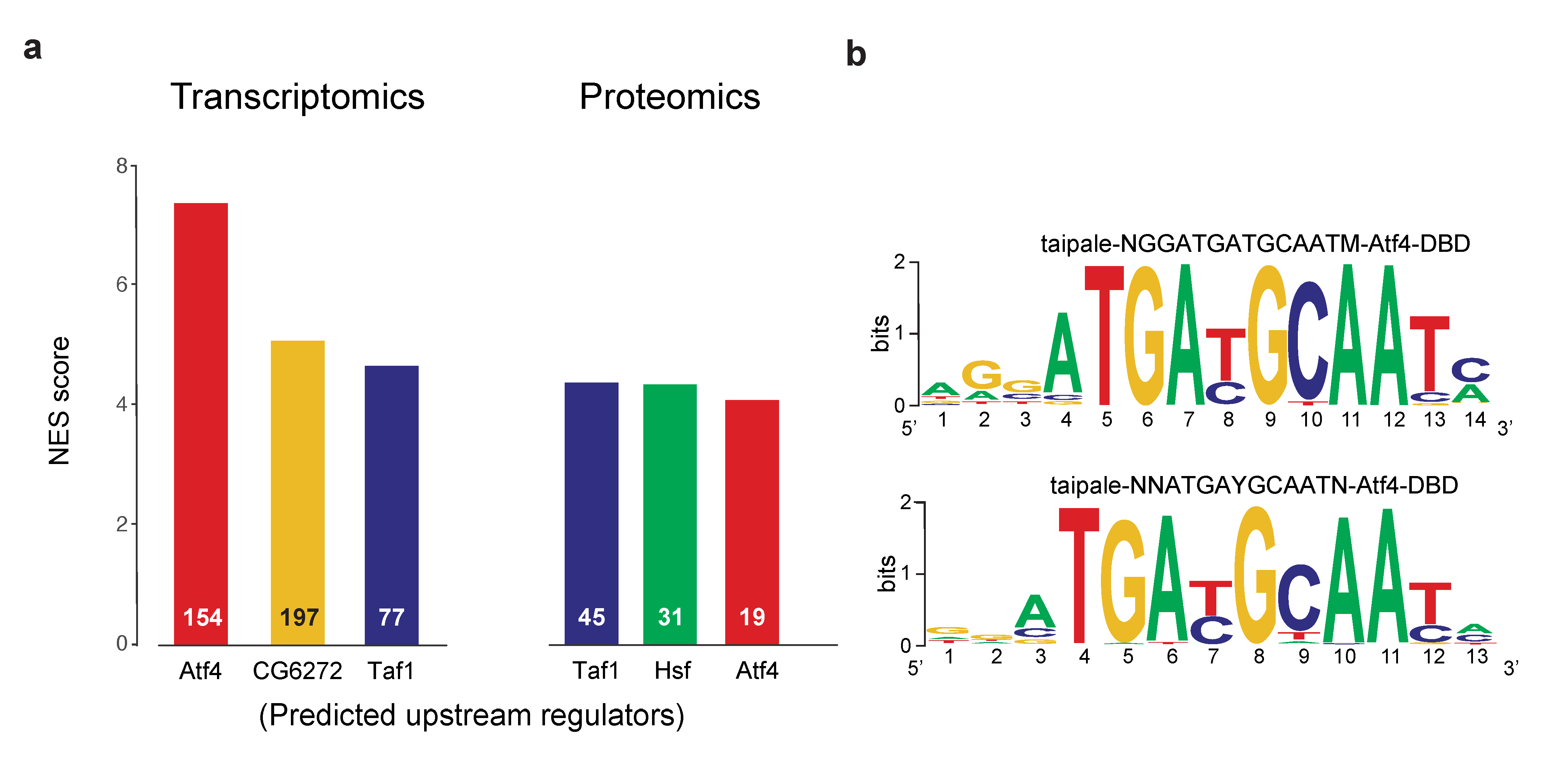 Ijms 22 04598 g002 Ijms 22 04598 g002