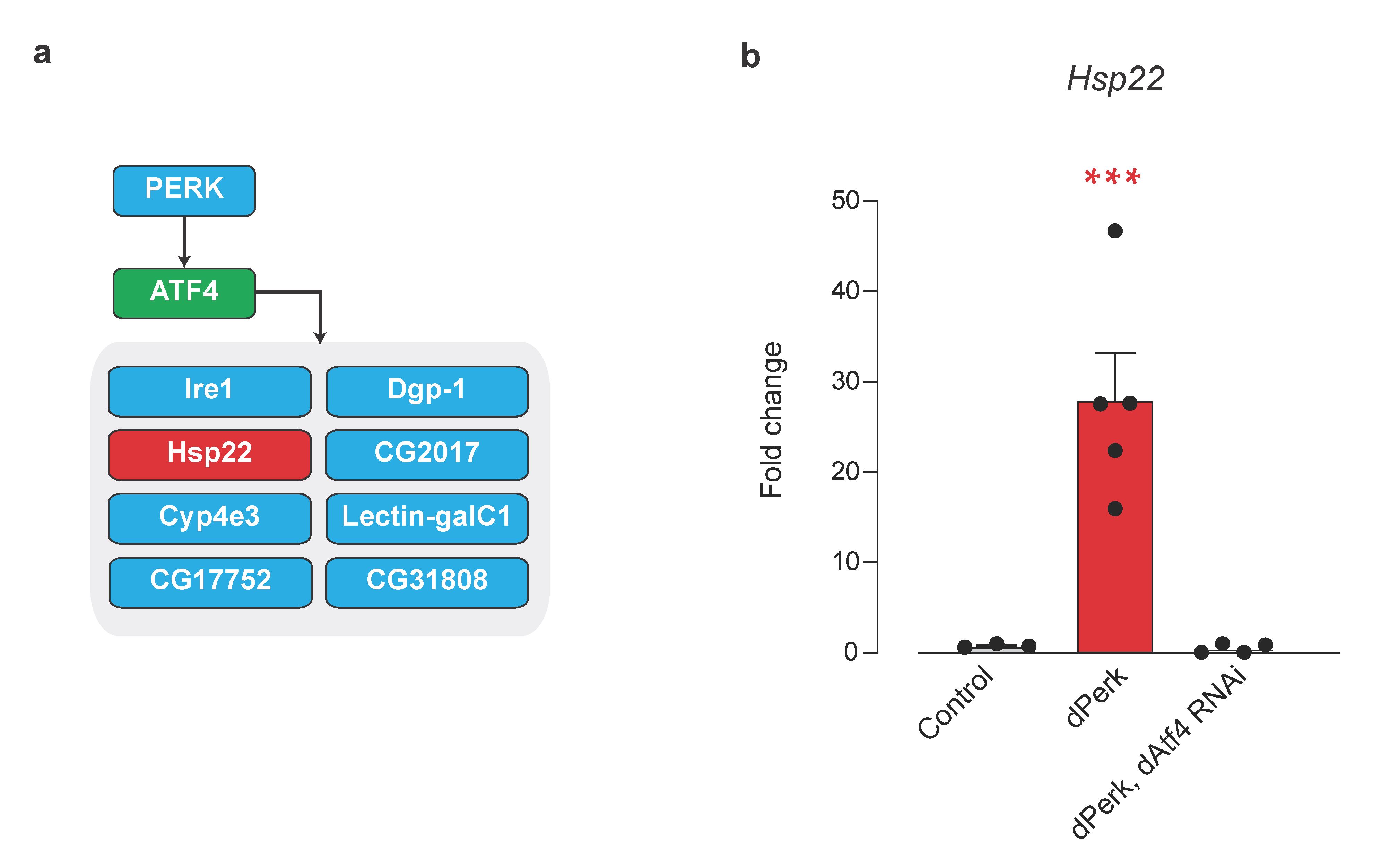 Ijms 22 04598 g006 Ijms 22 04598 g006