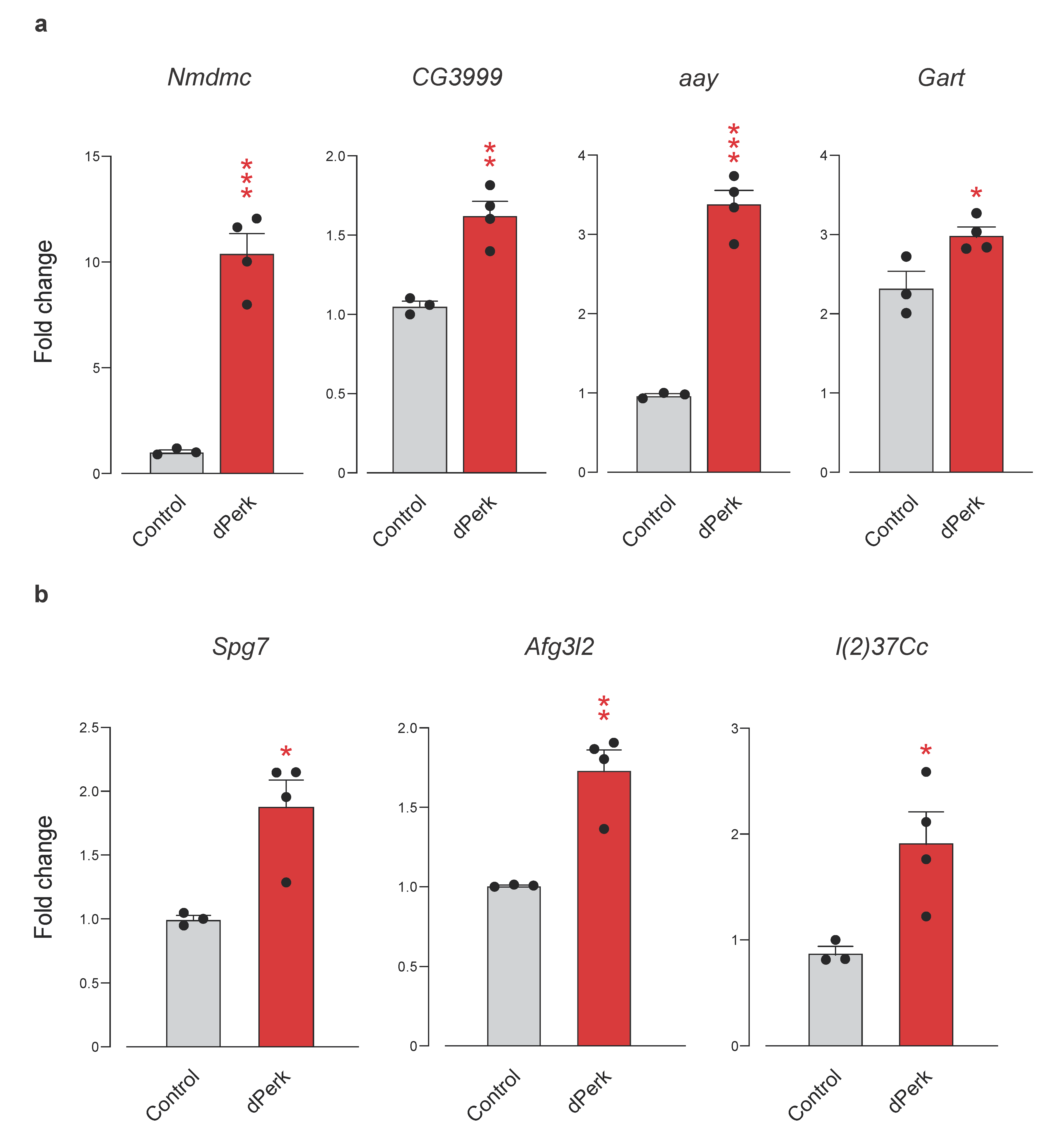 Ijms 22 04598 g009 Ijms 22 04598 g009