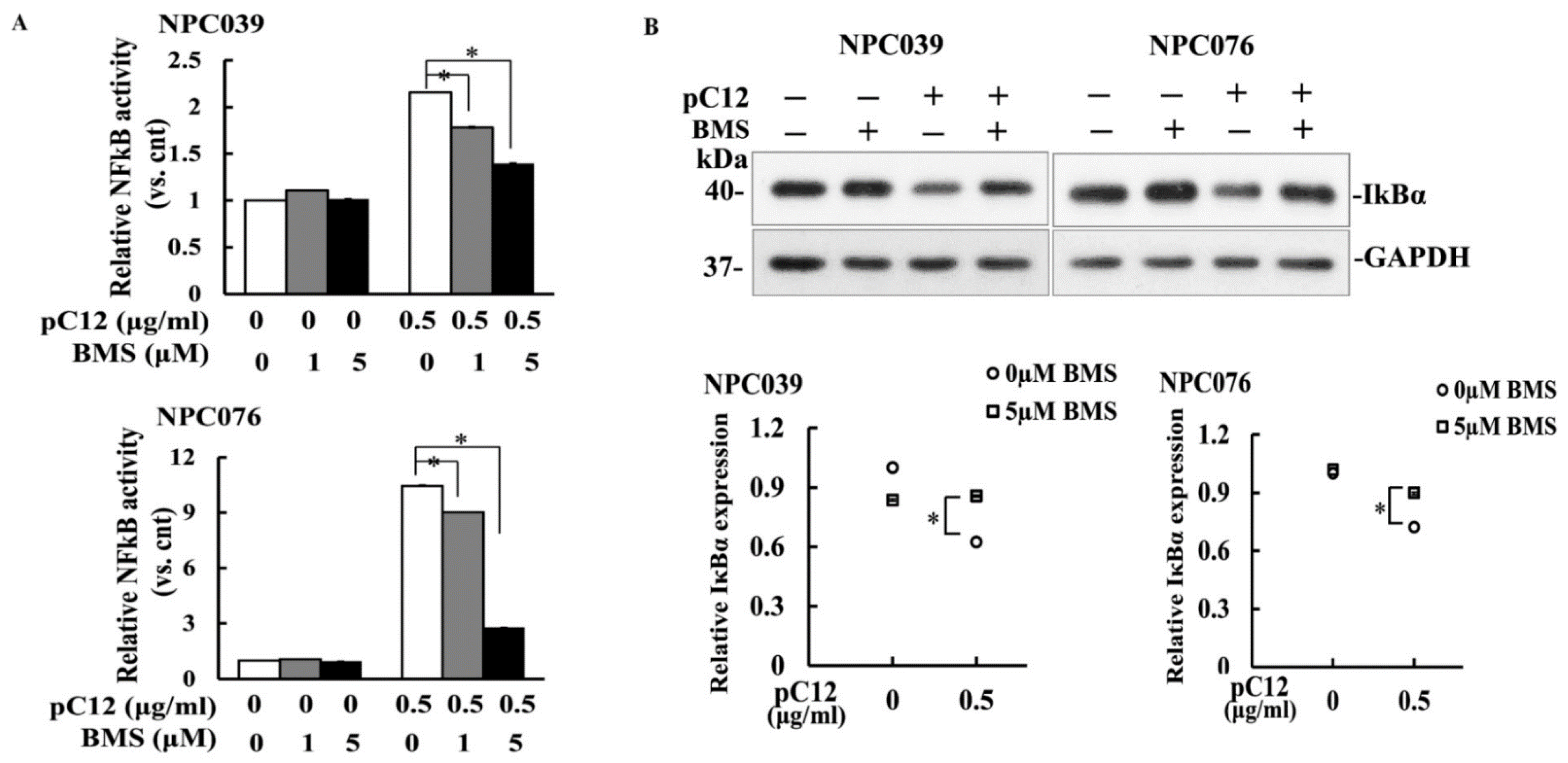 Ijms 22 04610 g002 Ijms 22 04610 g002