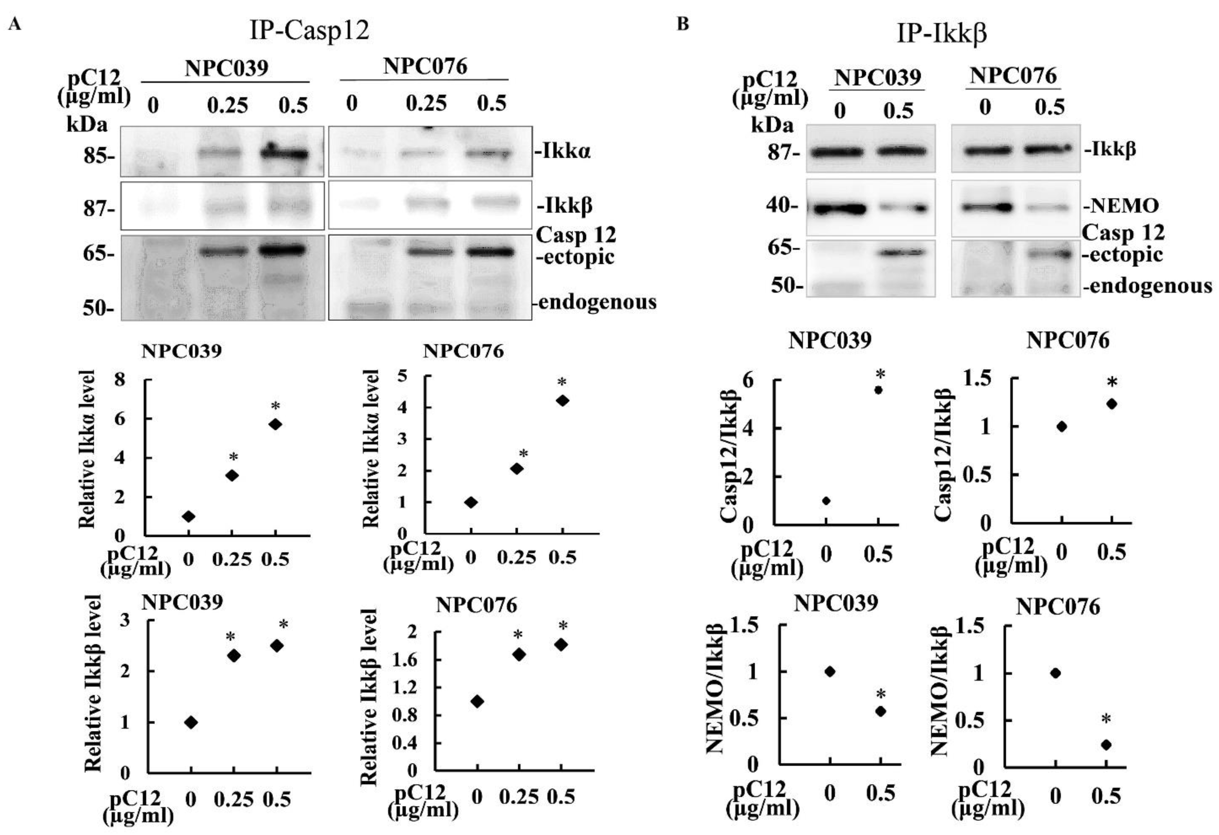 Ijms 22 04610 g003 Ijms 22 04610 g003