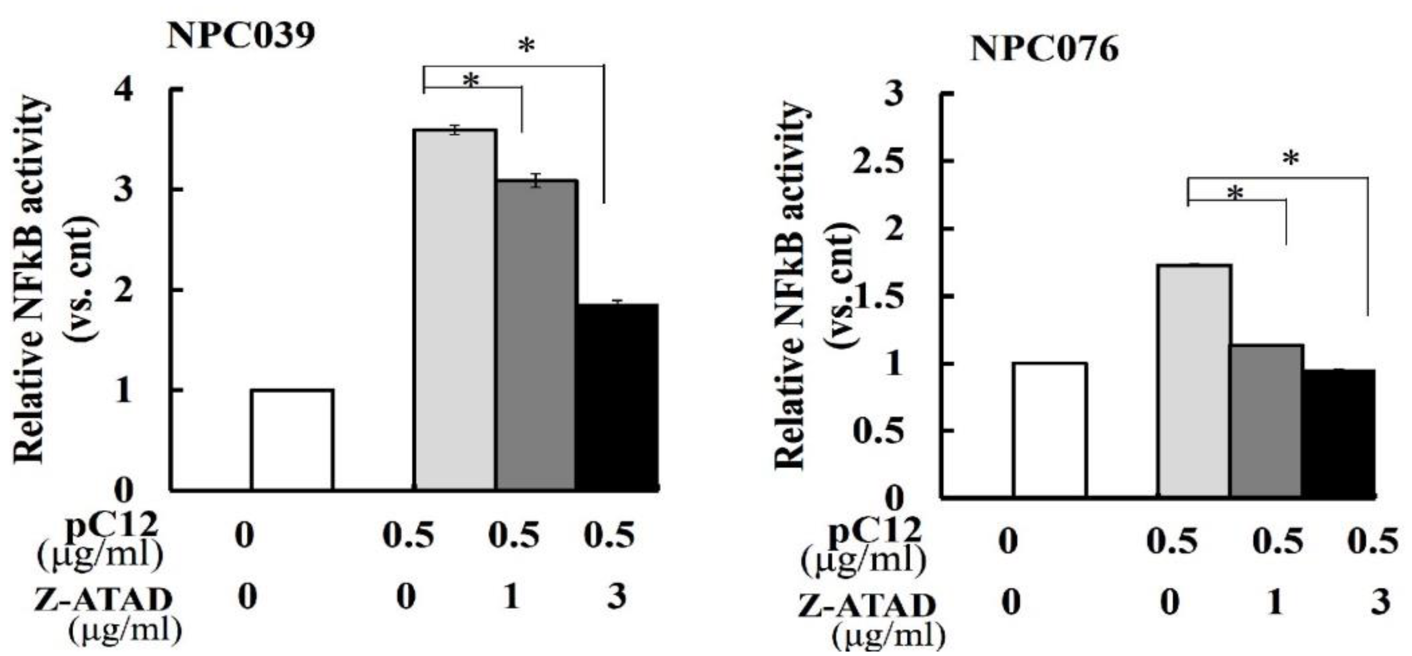 Ijms 22 04610 g005 Ijms 22 04610 g005