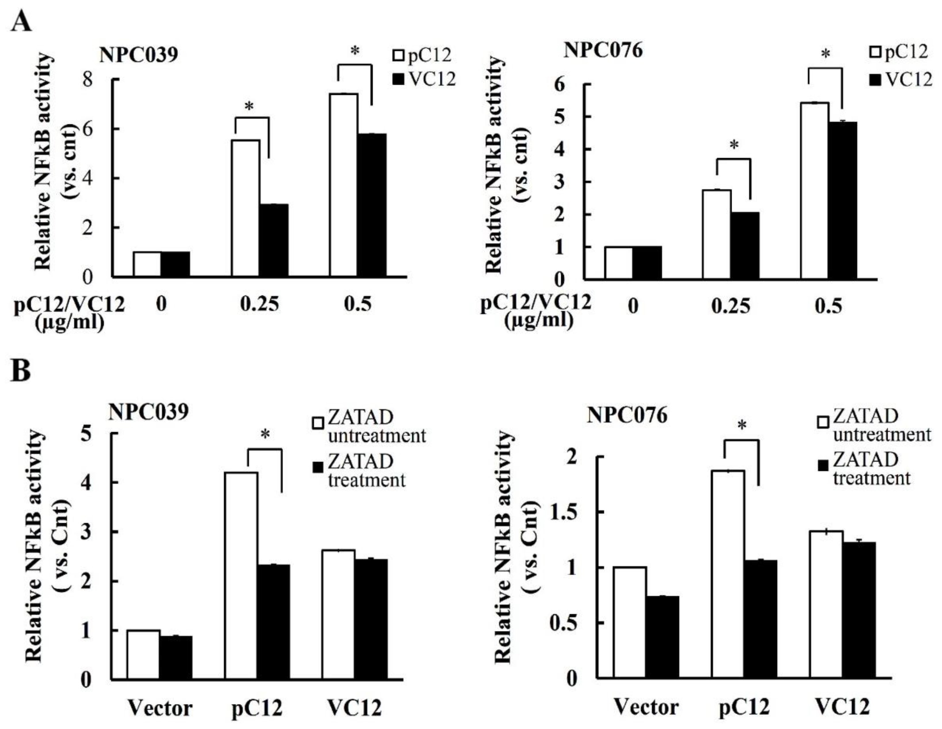 Ijms 22 04610 g006 Ijms 22 04610 g006