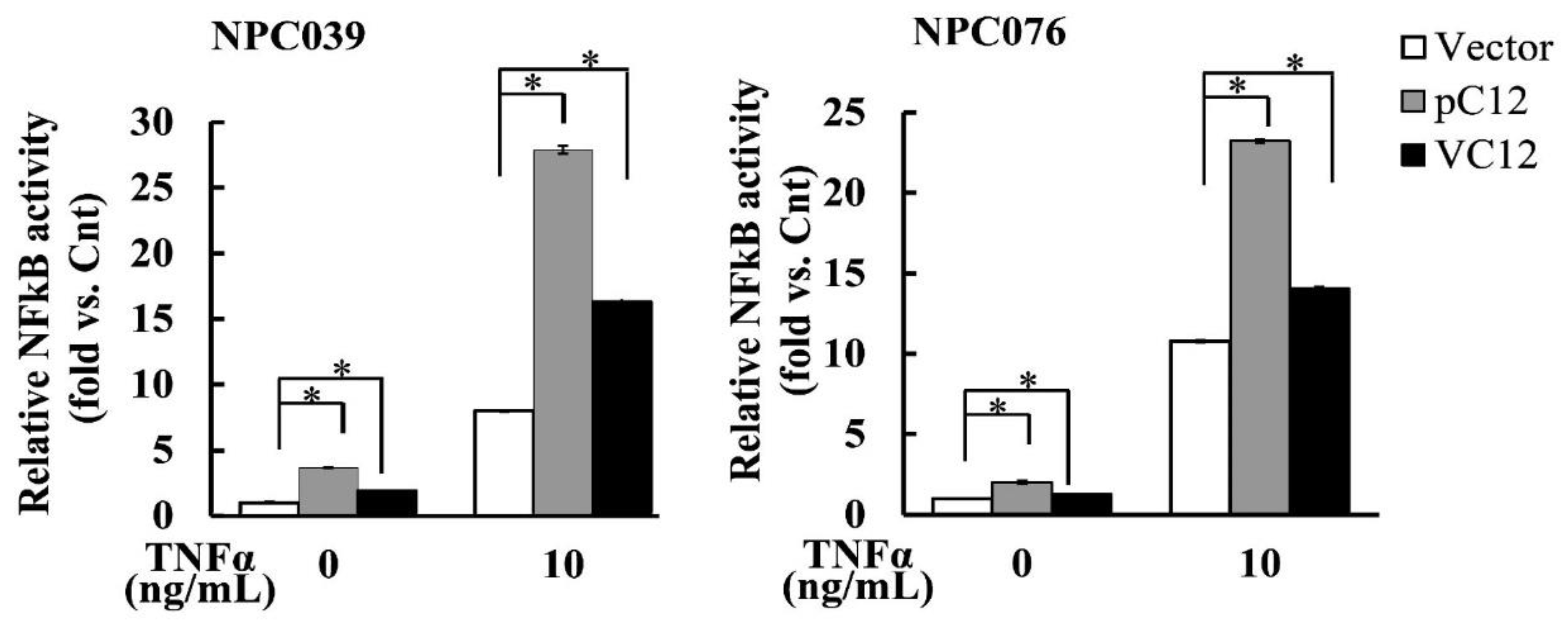 Ijms 22 04610 g007 Ijms 22 04610 g007